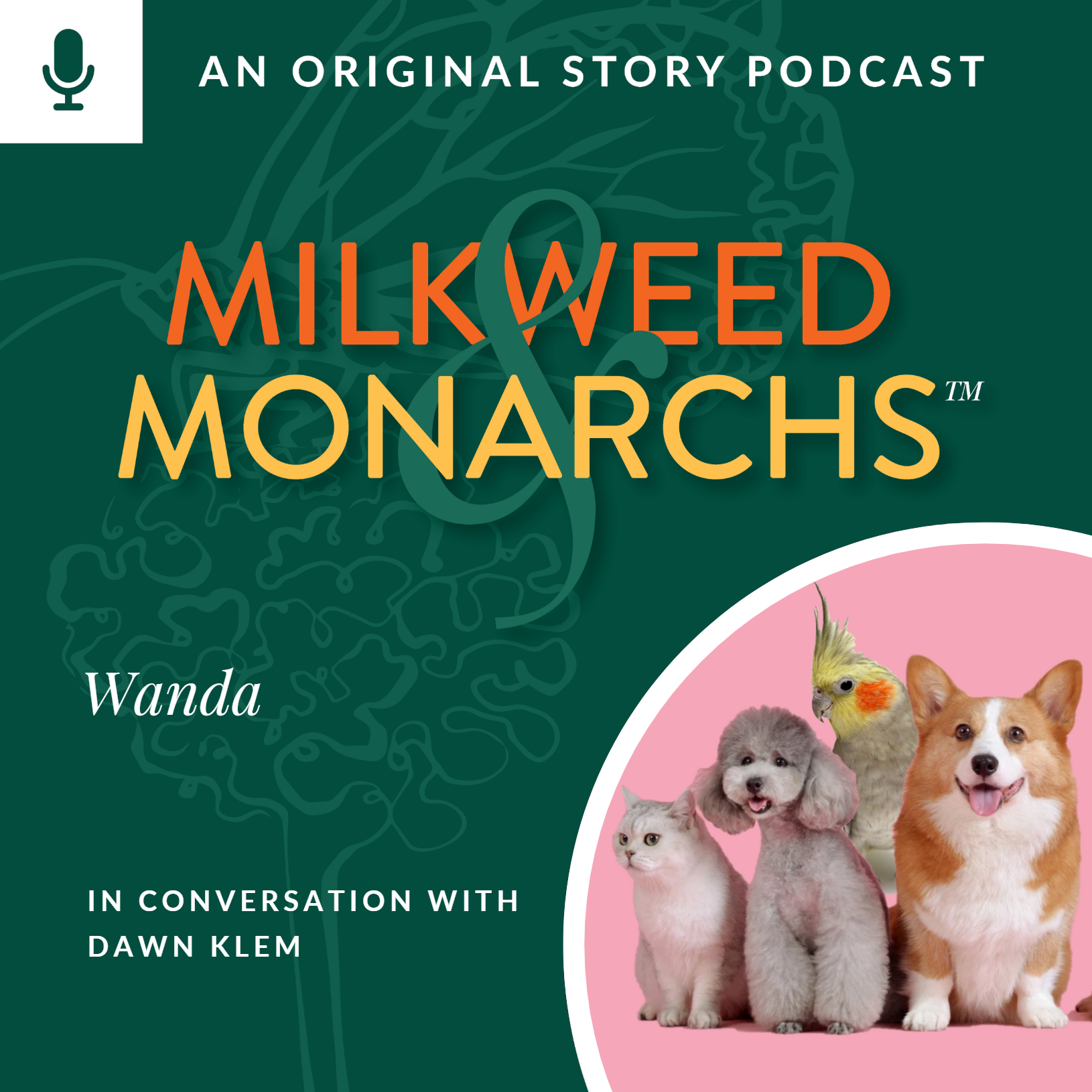 Episode Cover