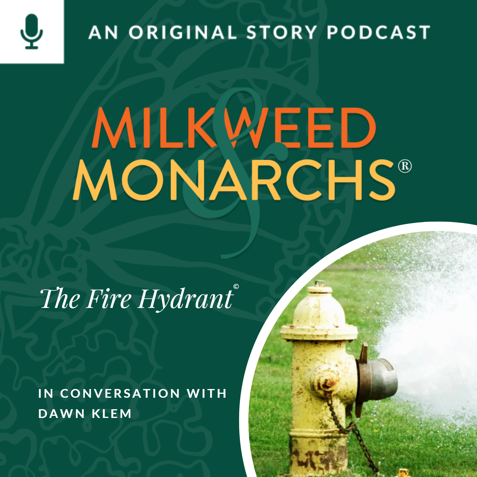 Milkweed & Monarchs