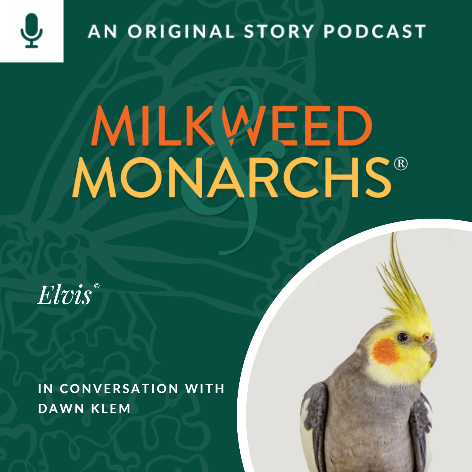 EP81 - Elvis