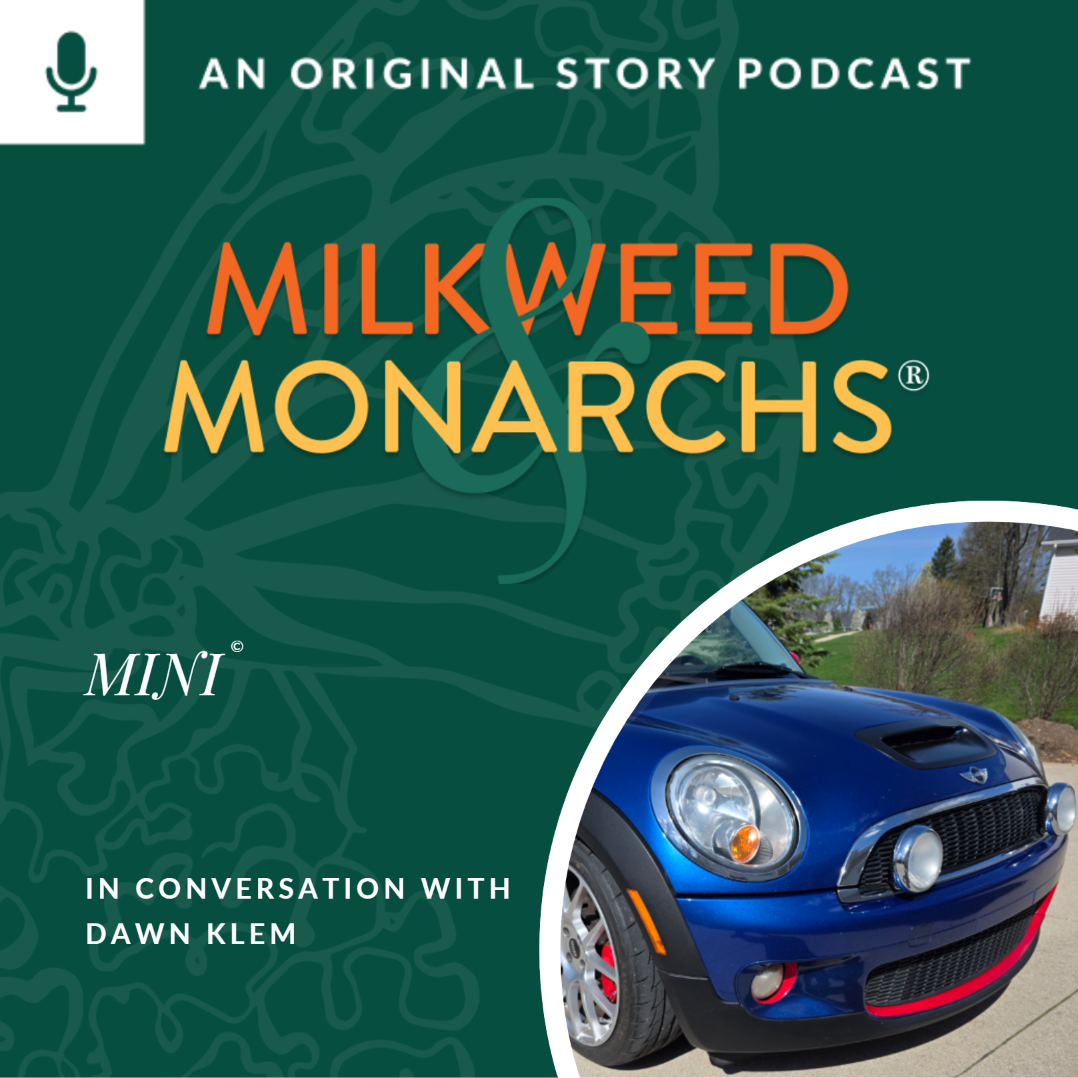 EP85 - MINI