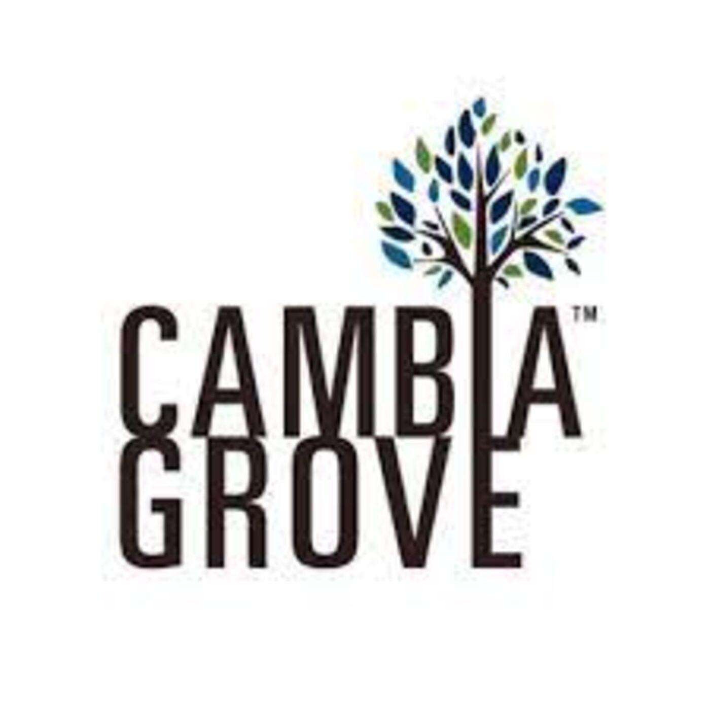 Julie Anderson of Cambia Grove (018)
