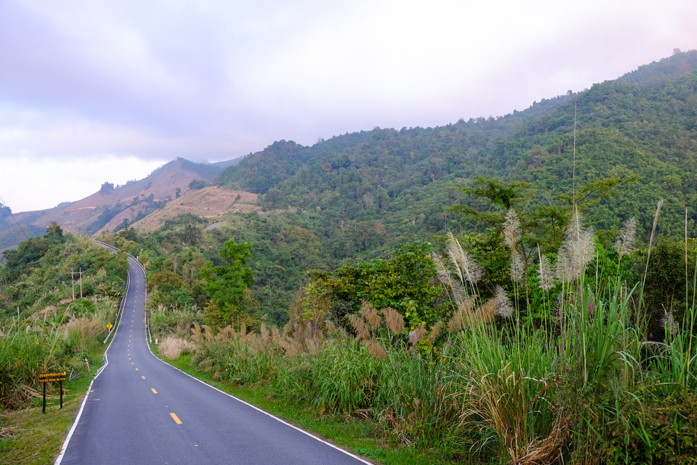 "Long May You Run" With Instrumental Backup