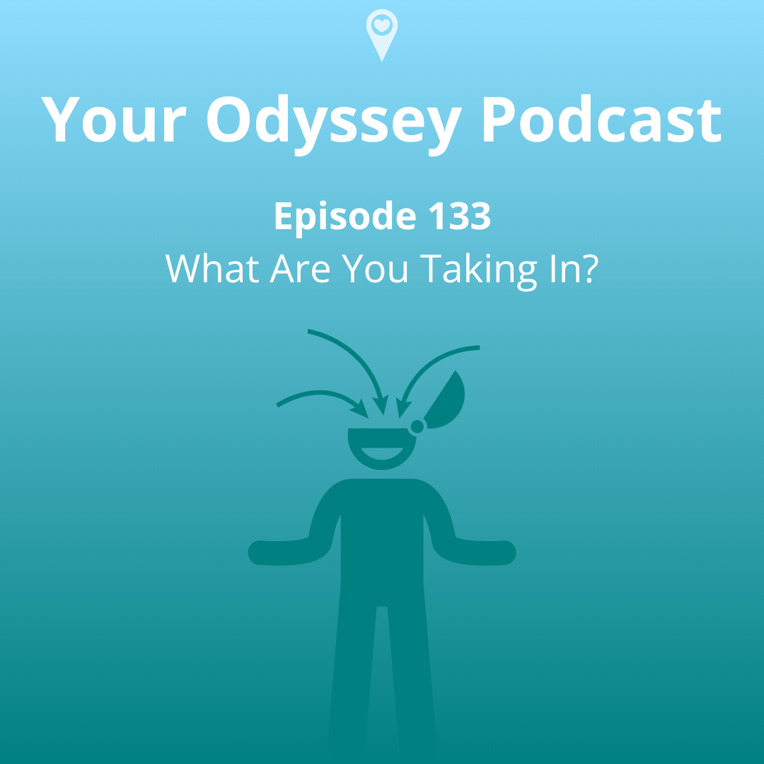 What Are You Taking In?