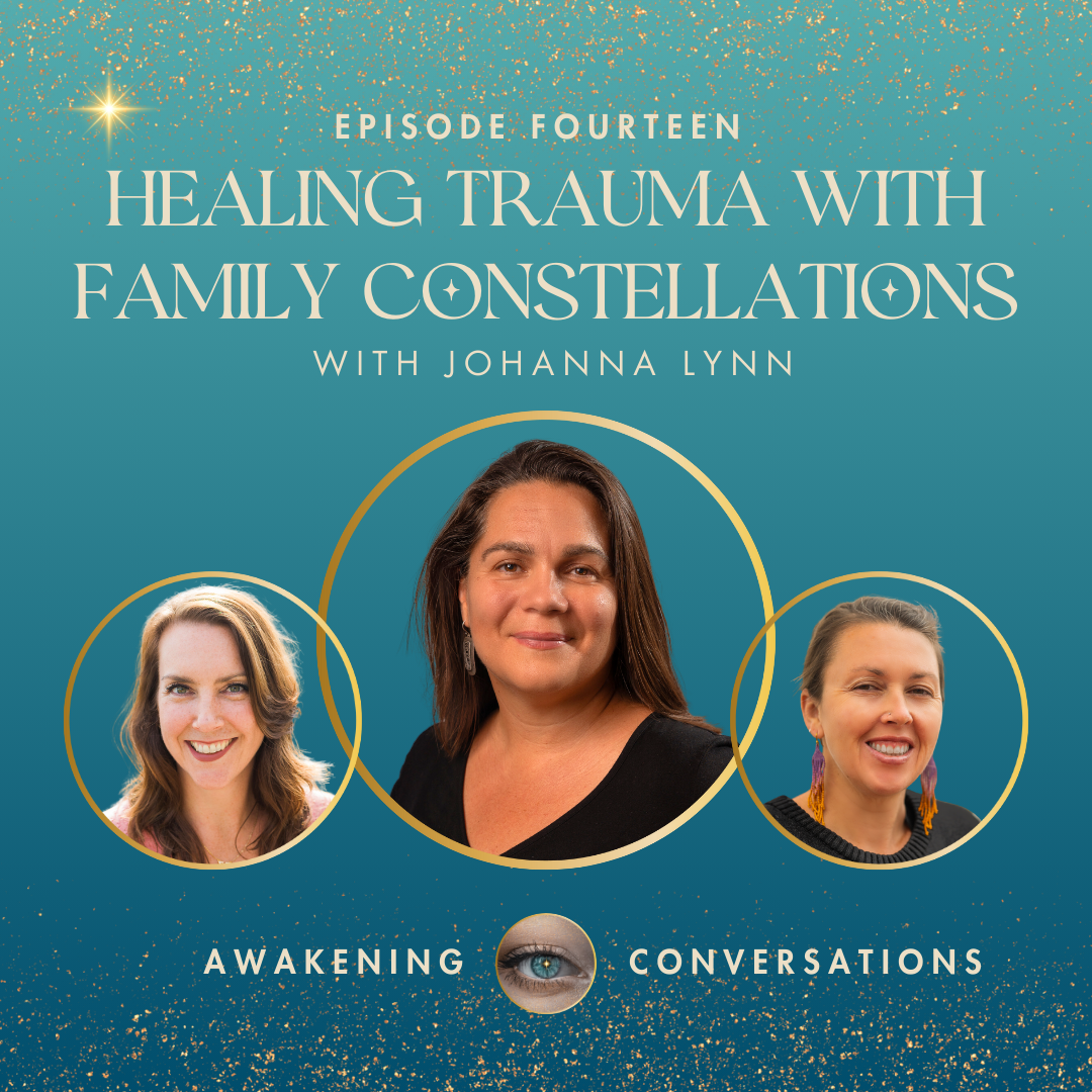 014. Family Constellations with Johanna Lynn - Healing Trauma & Family Dynamics