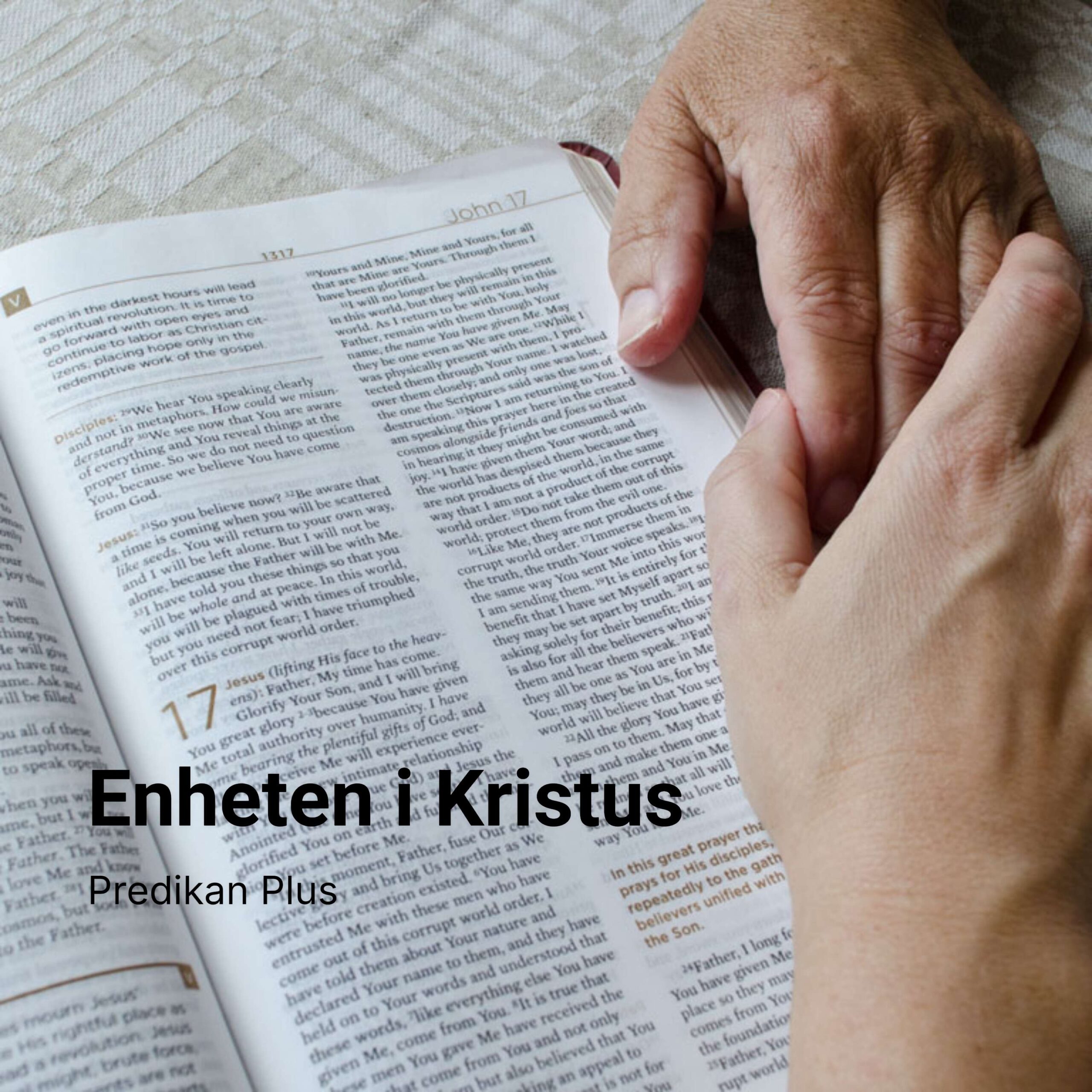 Enheten i Kristus