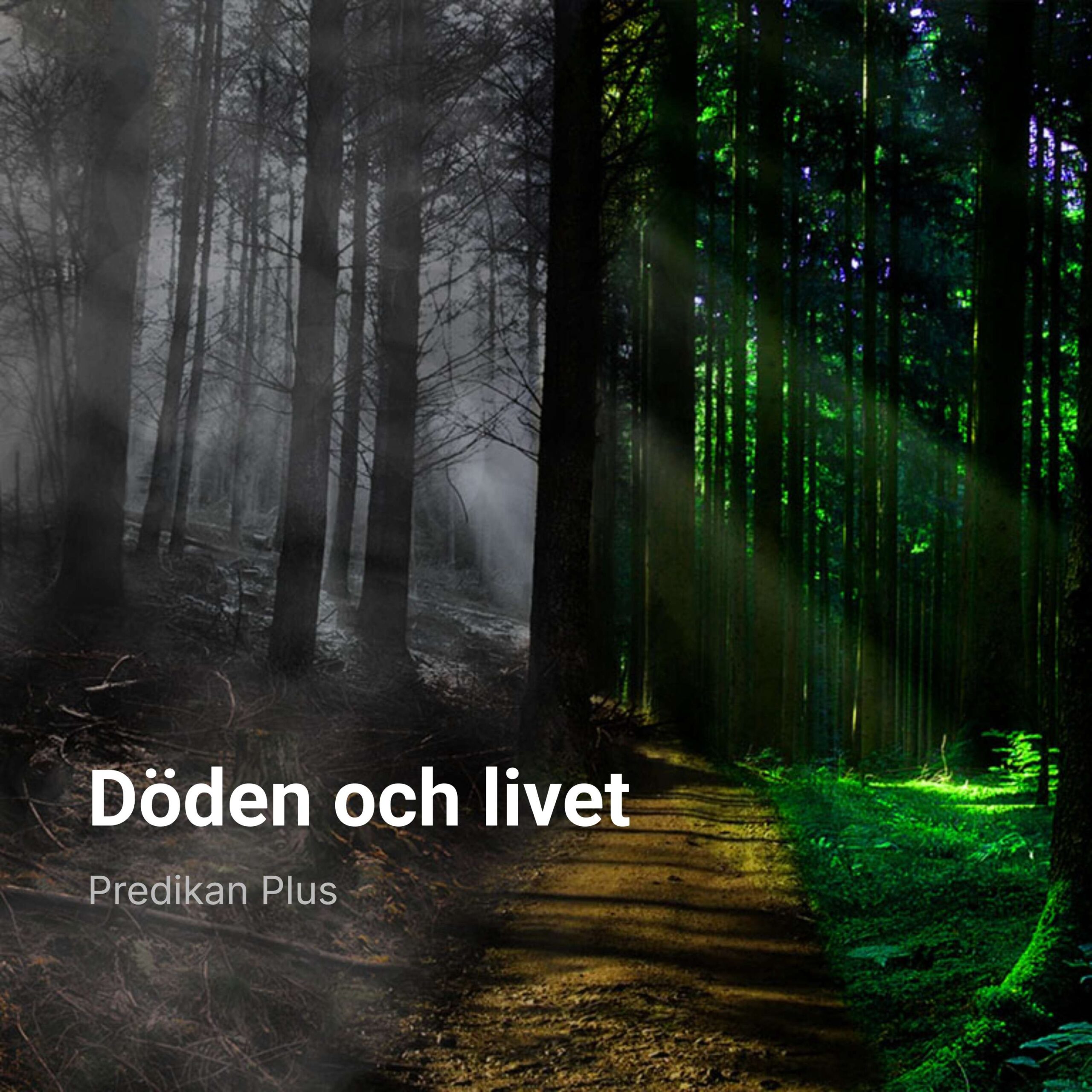 Döden och livet