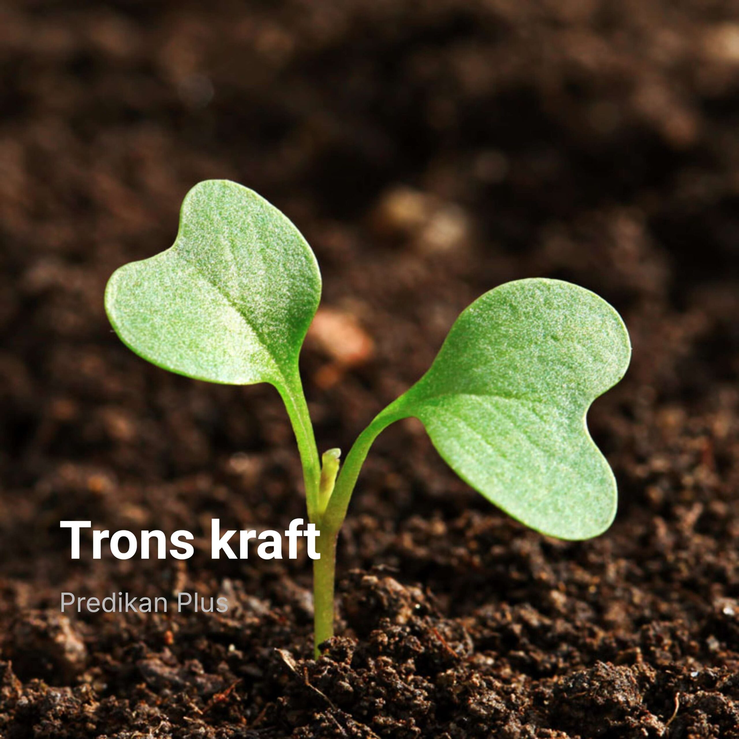 Trons kraft
