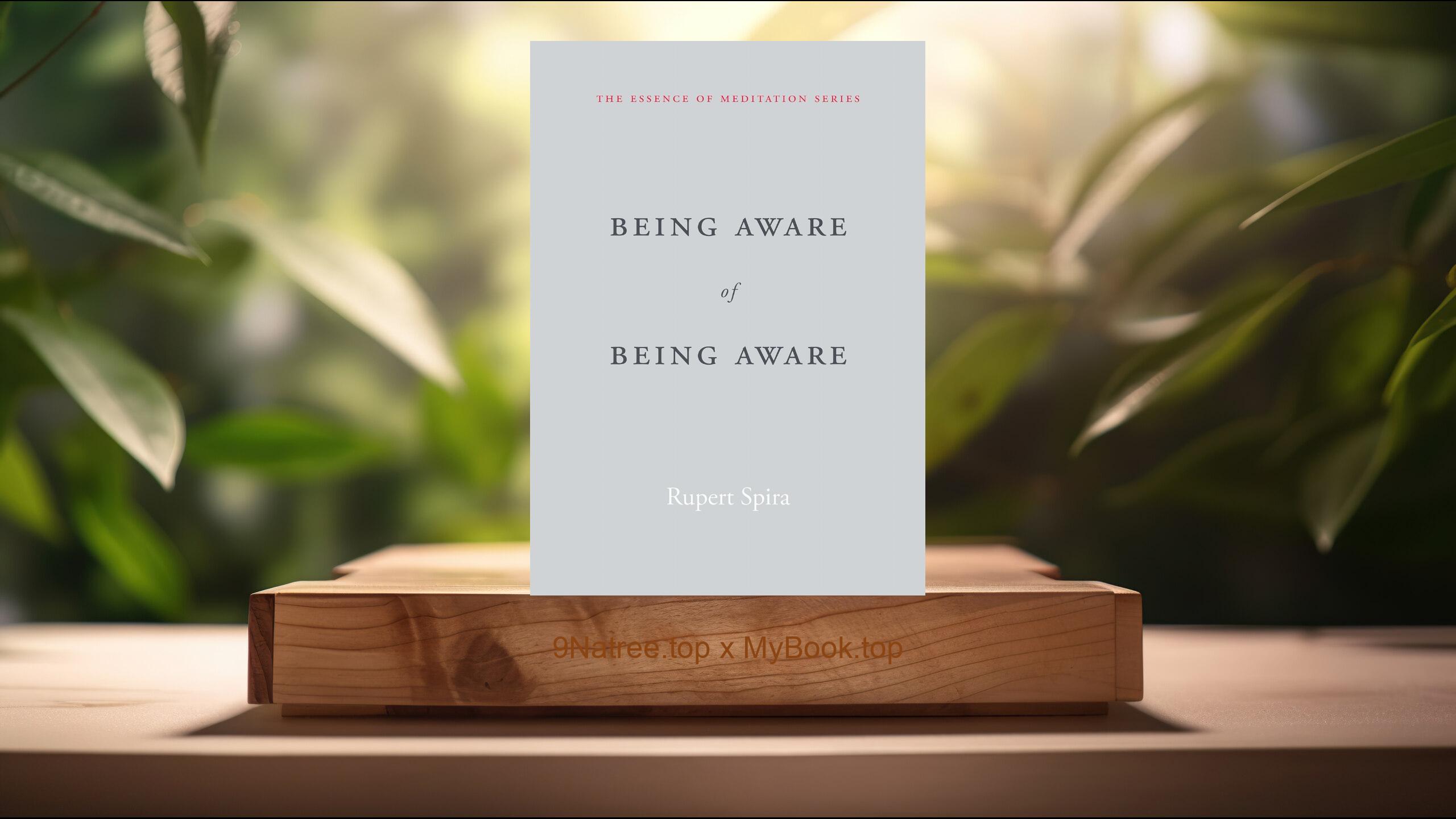 [Review] Being Aware of Being Aware (The Essence of Meditation Series) (Rupert Spira) Summarized