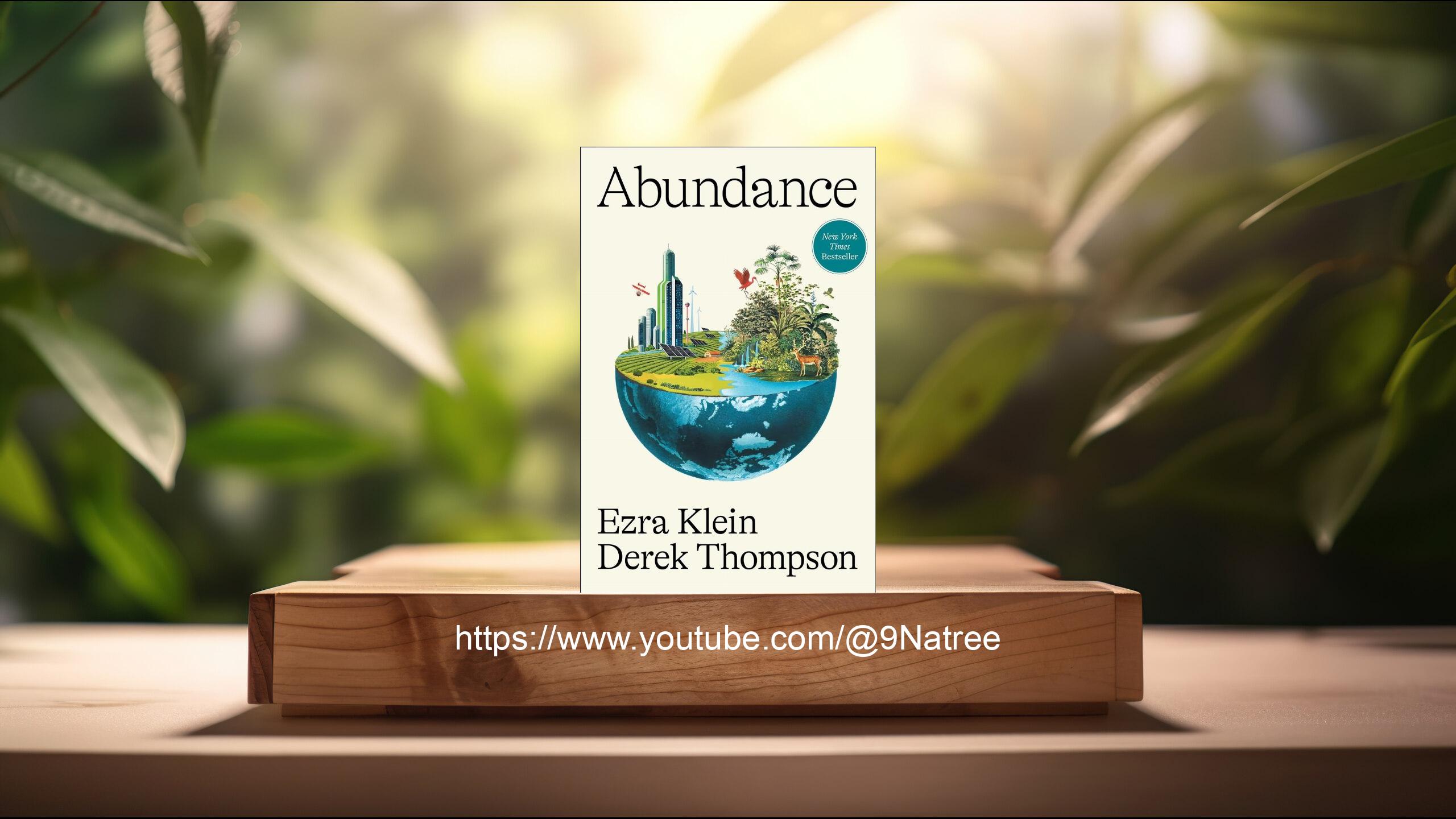 [รีวิว] Abundance (Ezra Klein) สรุปหนังสือ