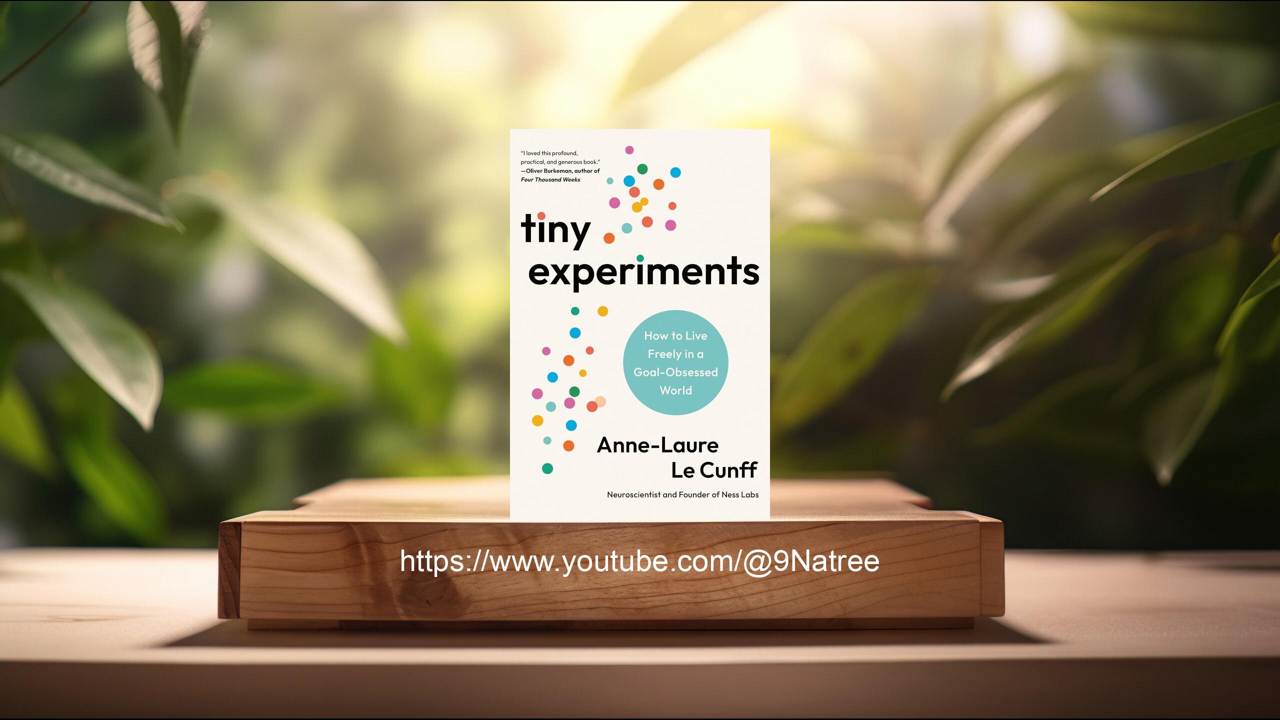 [รีวิว] Tiny Experiments How to  Live Freely in  A Goal Obsessed World ( Anne Laure Le Cunff) สรุปหนังสือ