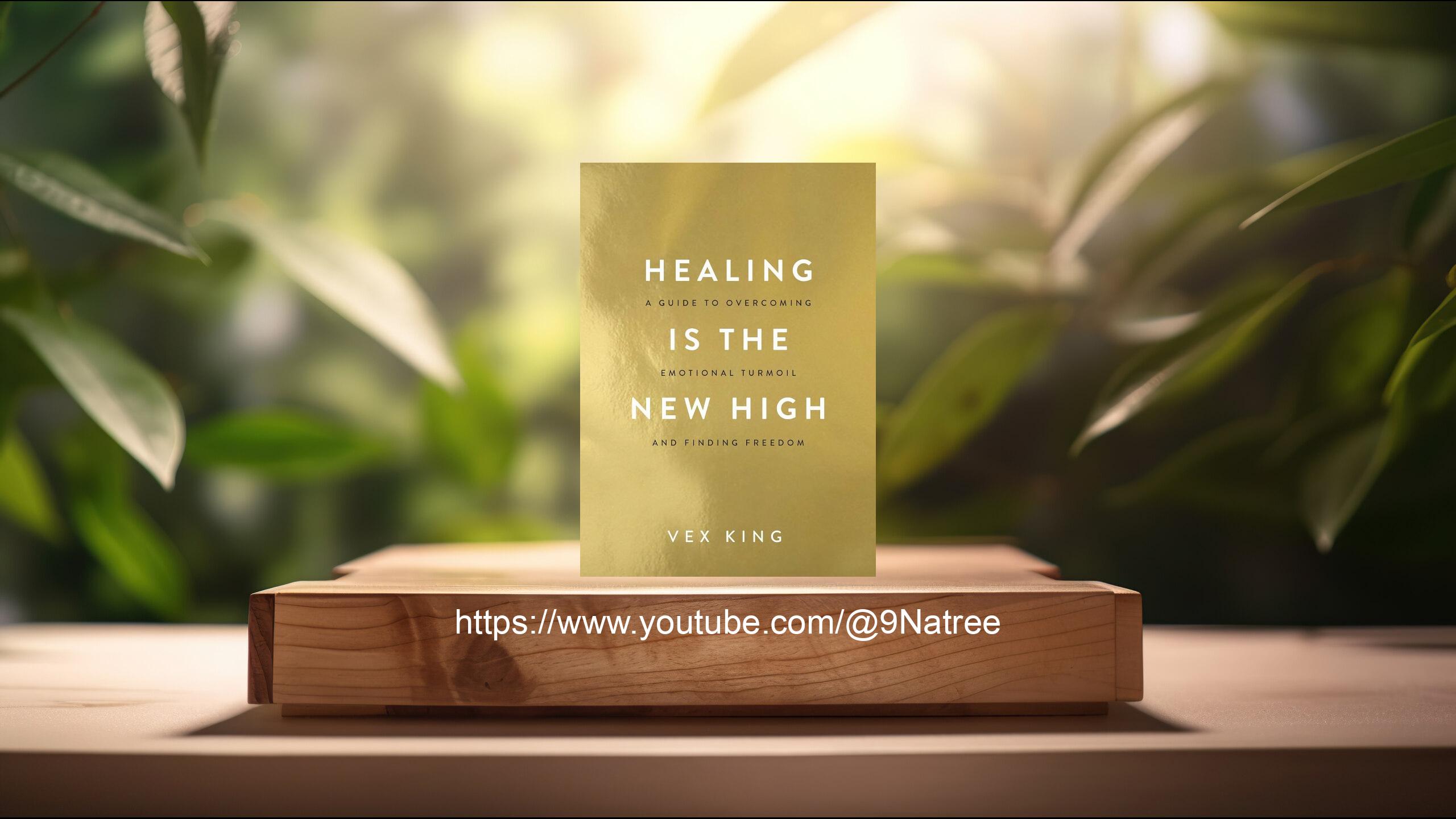 [รีวิว] Healing Is the New High (Vex King) สรุปหนังสือ