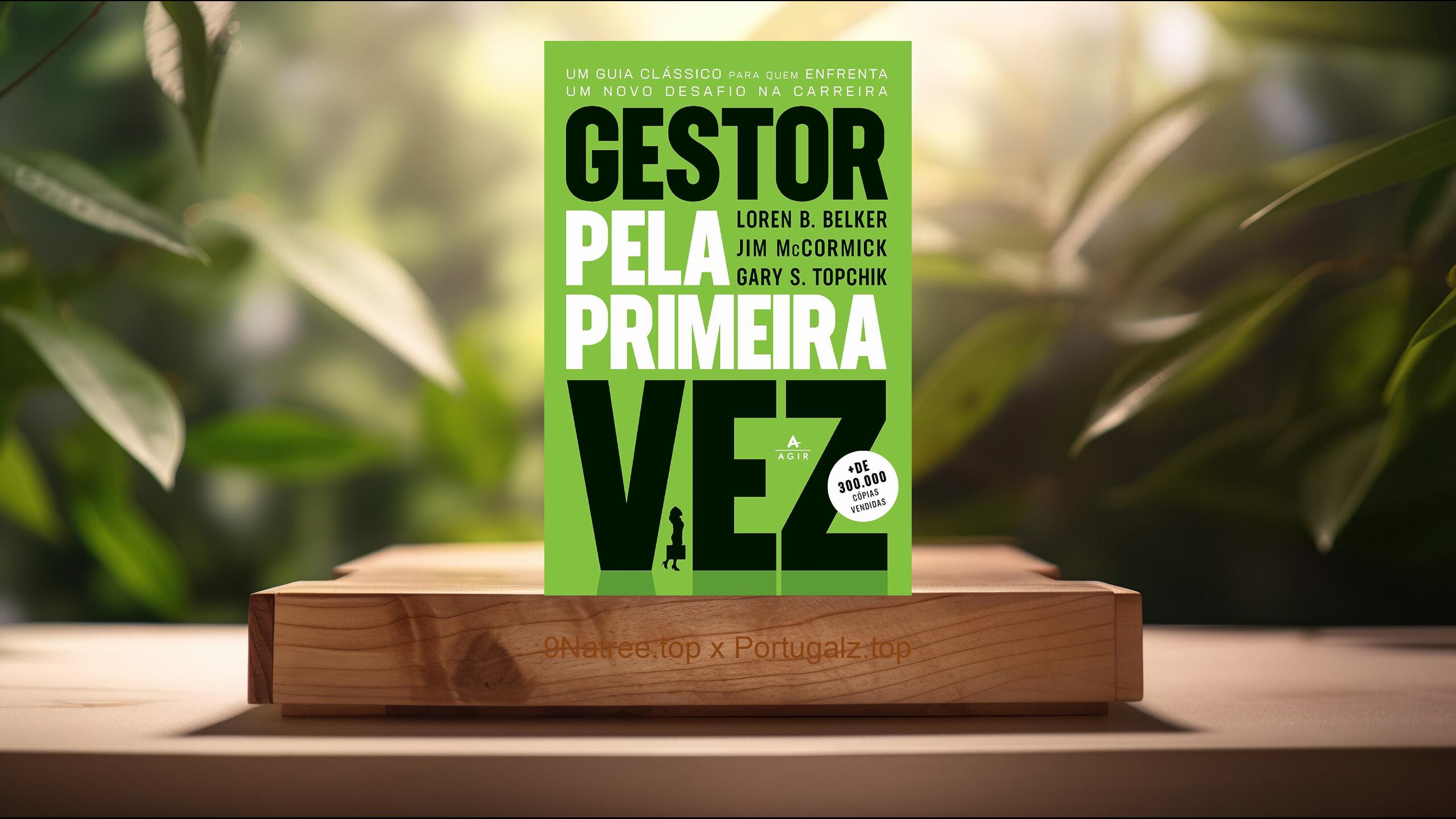 [Análises] Gestor pela primeira vez (Loren B. Belker) Resumidos.
