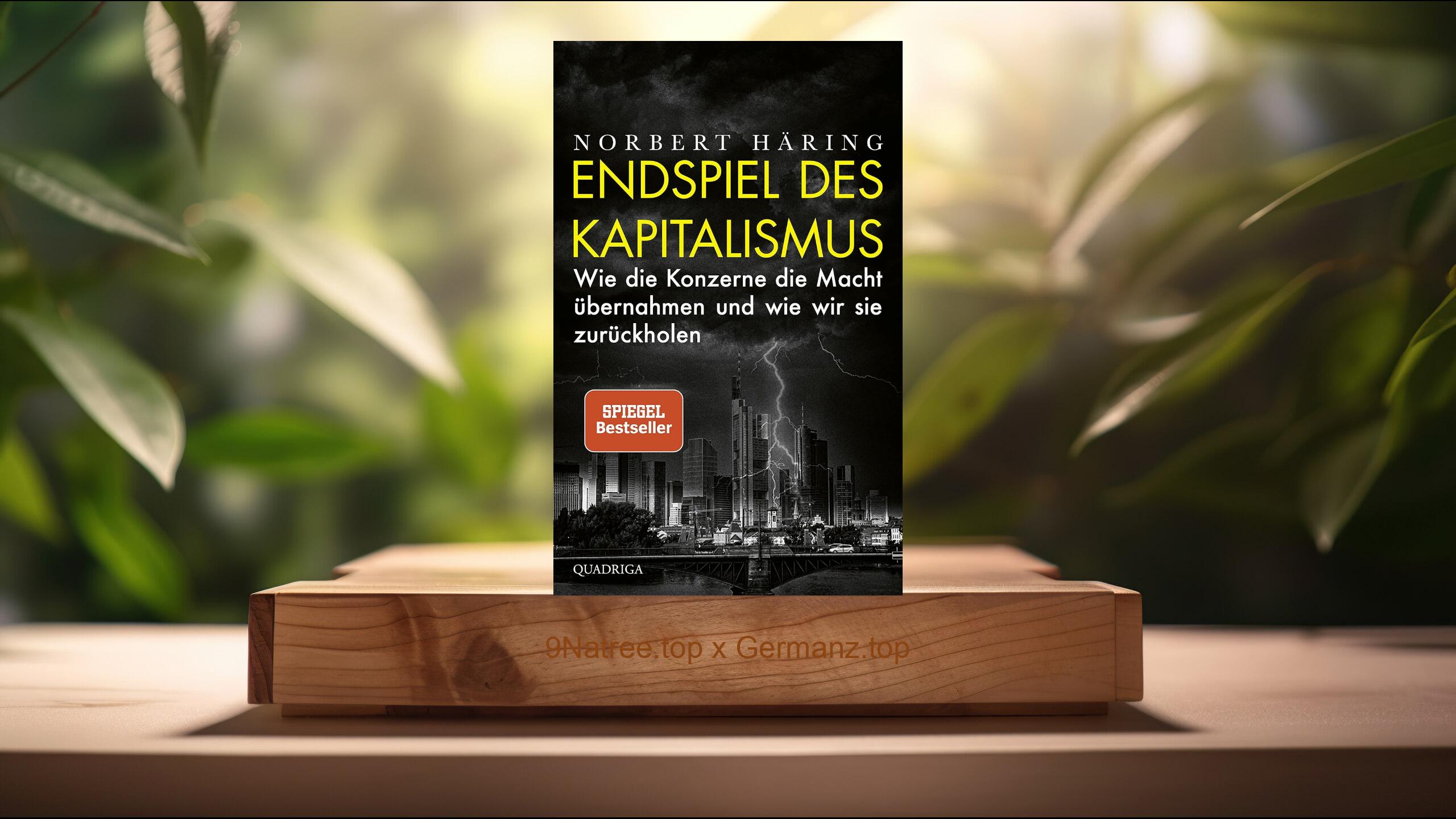 [Rezensiert] Endspiel des Kapitalismus (Norbert Häring) Zusammengefasst.