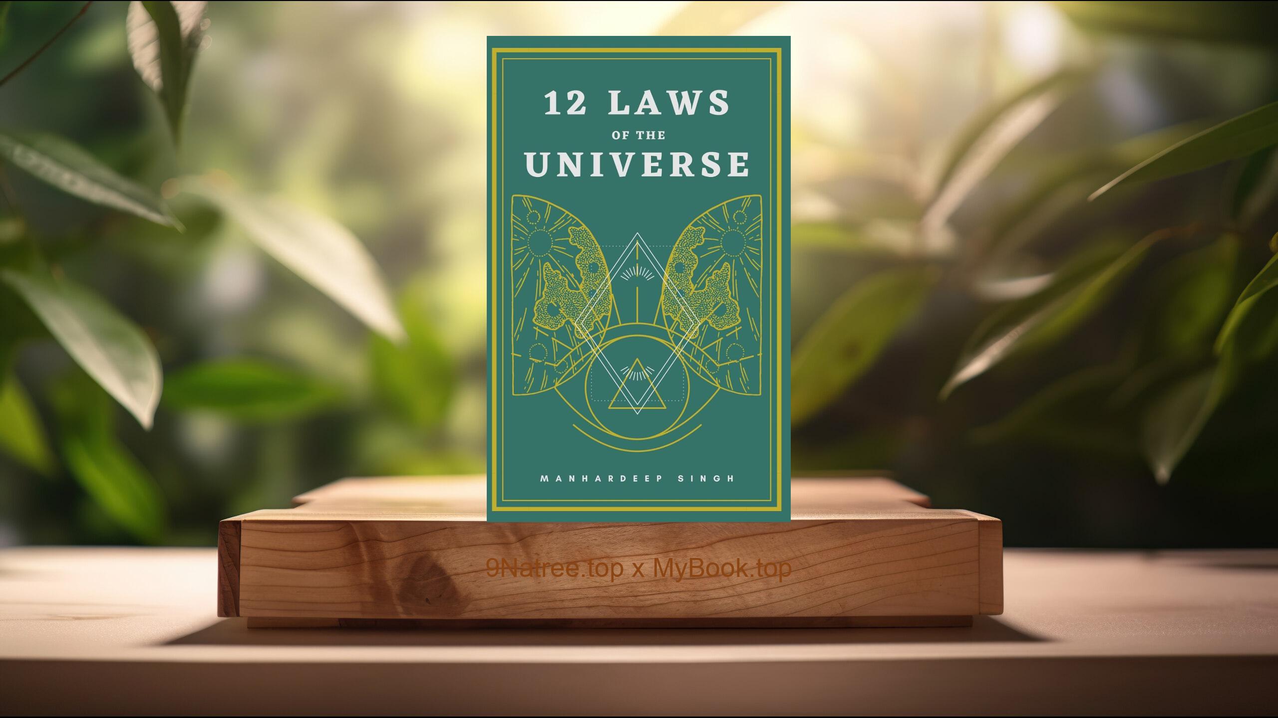 [Review] 12 Laws of the Universe (Manhardeep Singh) Summarized