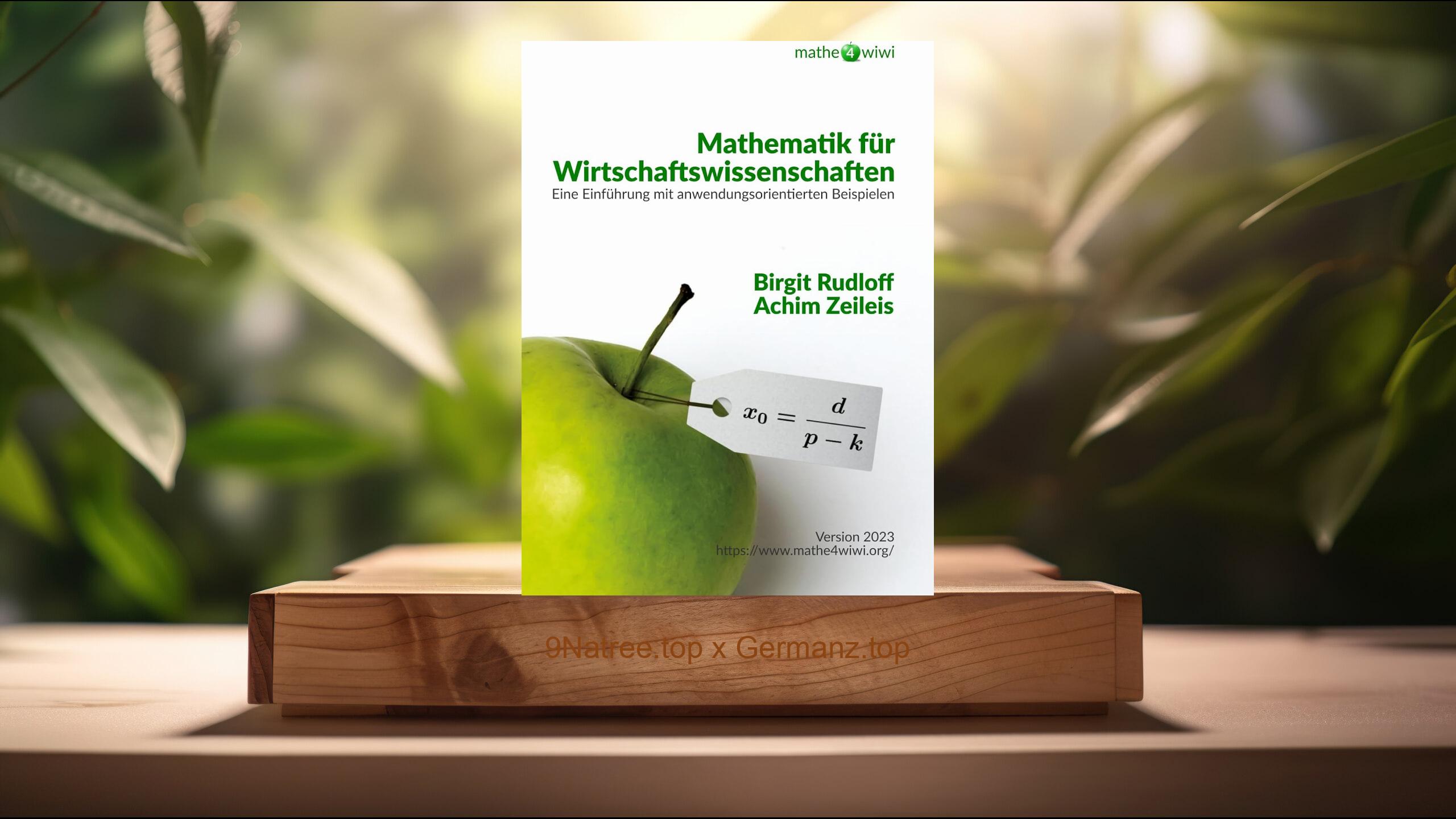 [Rezensiert] Mathematik für Wirtschaftswissenschaften (Birgit Rudloff) Zusammengefasst.