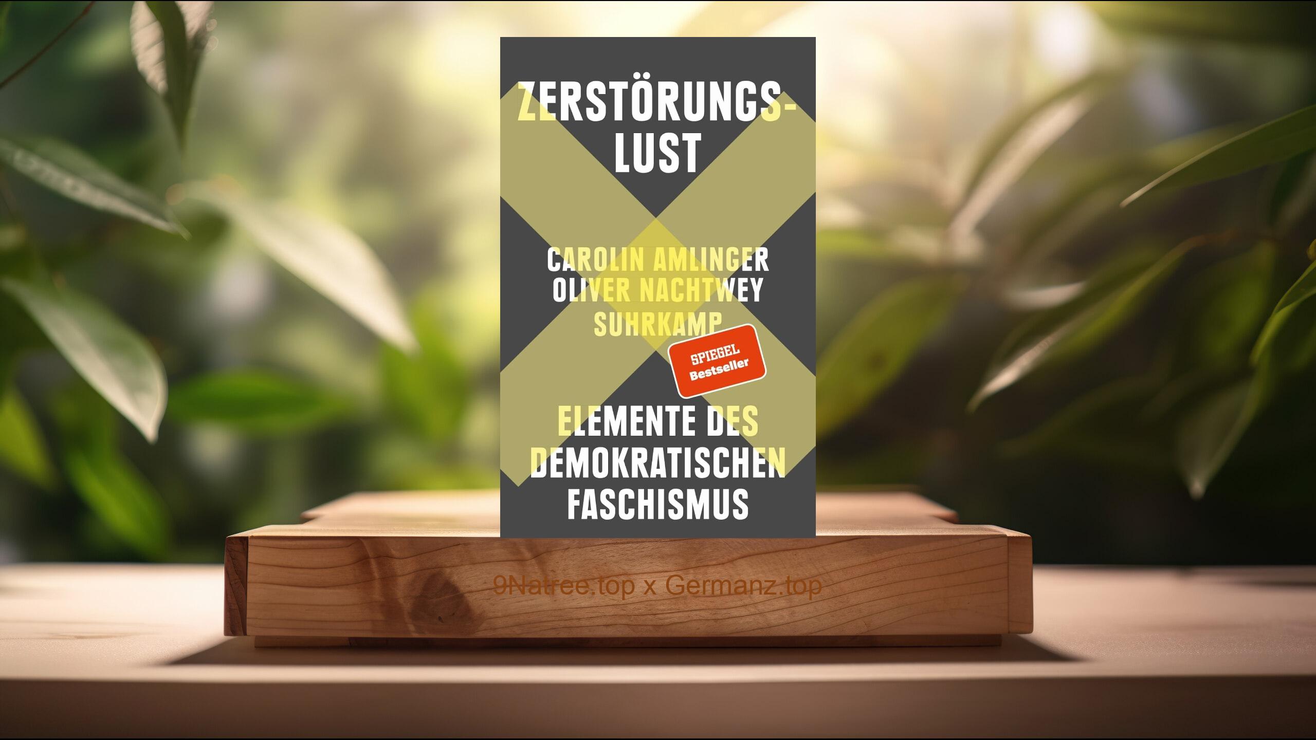 [Rezensiert] Zerstörungslust (Carolin Amlinger) Zusammengefasst.