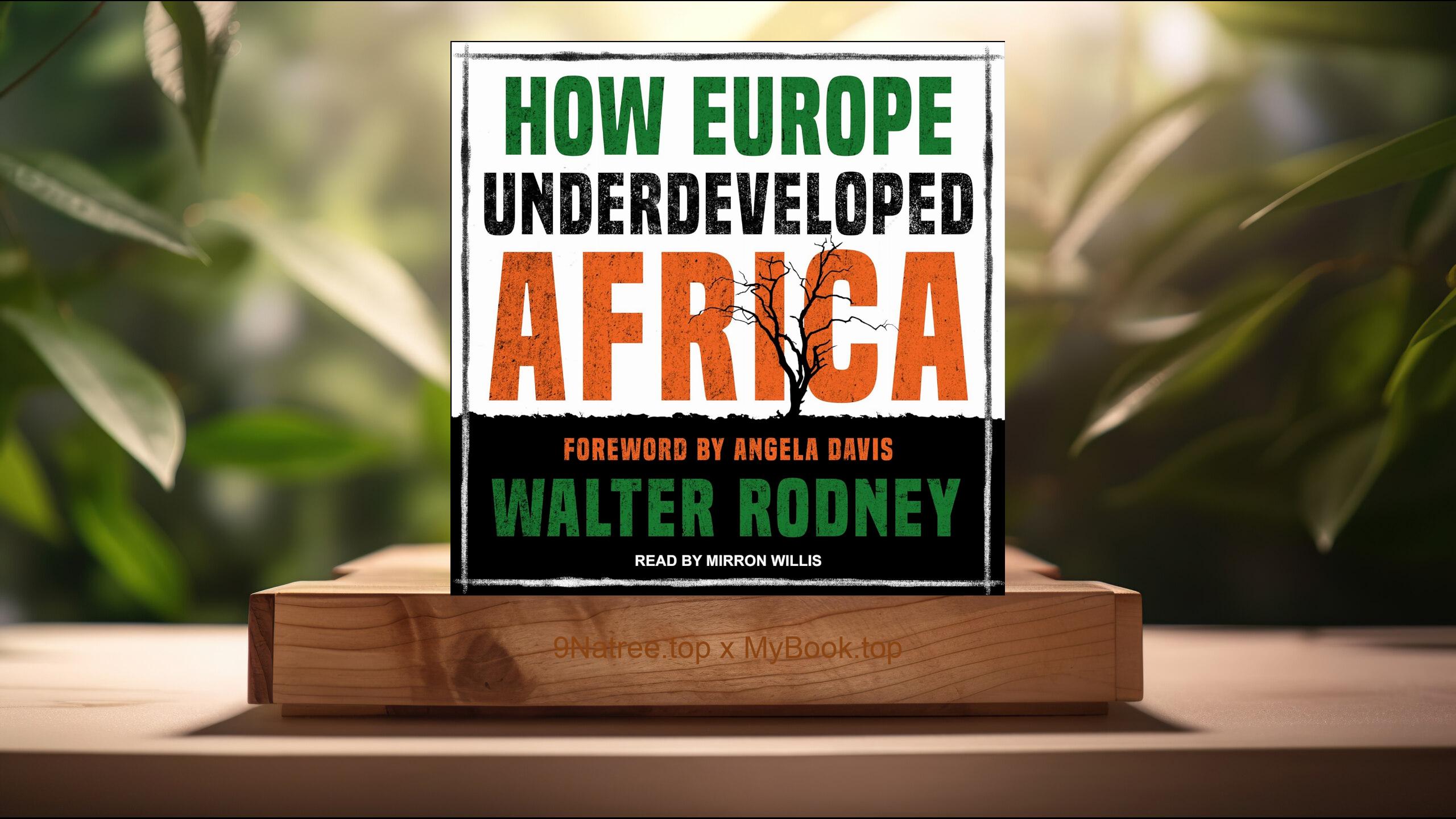 [Review] How Europe Underdeveloped Africa (Walter Rodney) Summarized