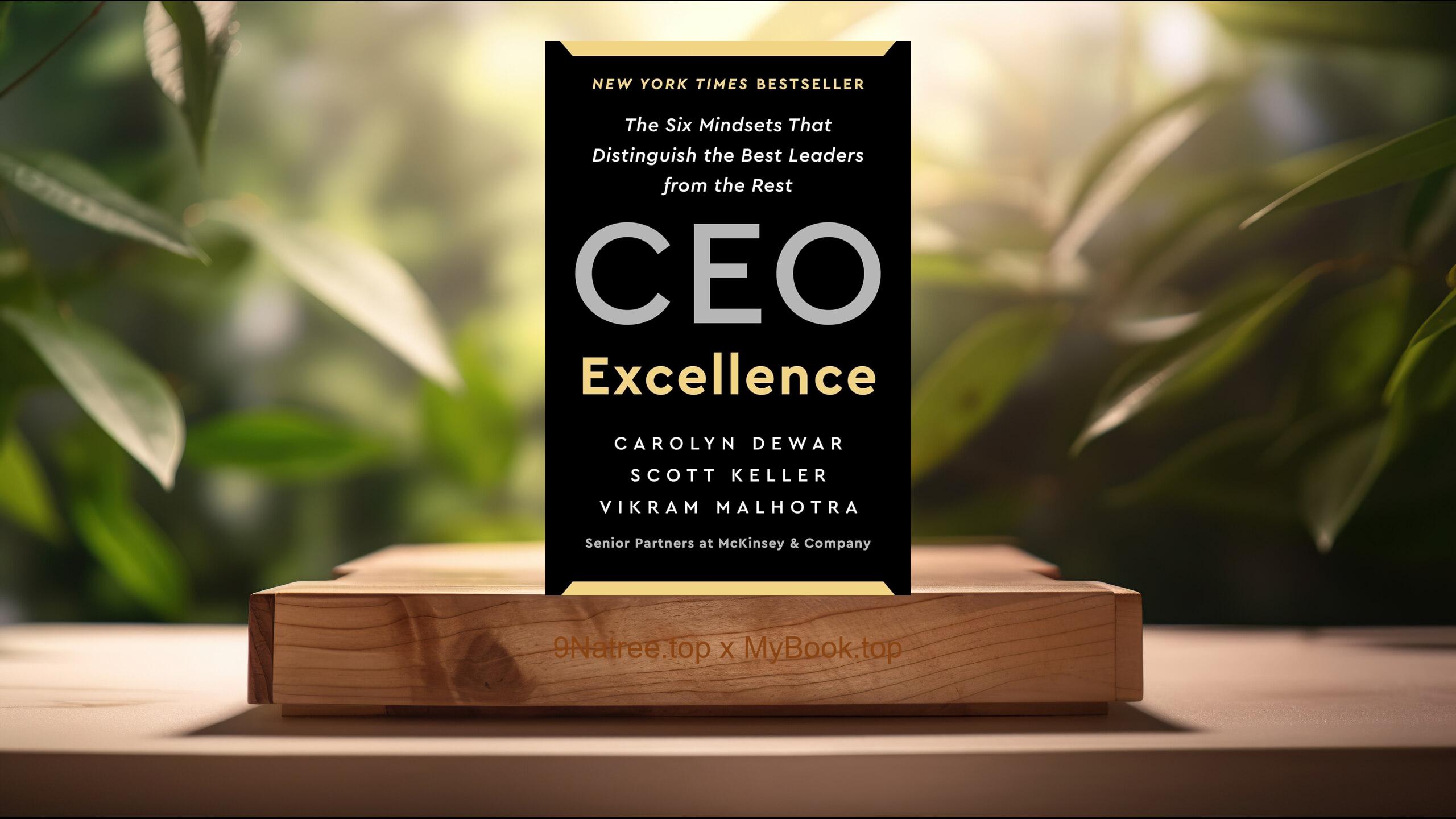 [Review] CEO Excellence (Carolyn Dewar) Summarized
