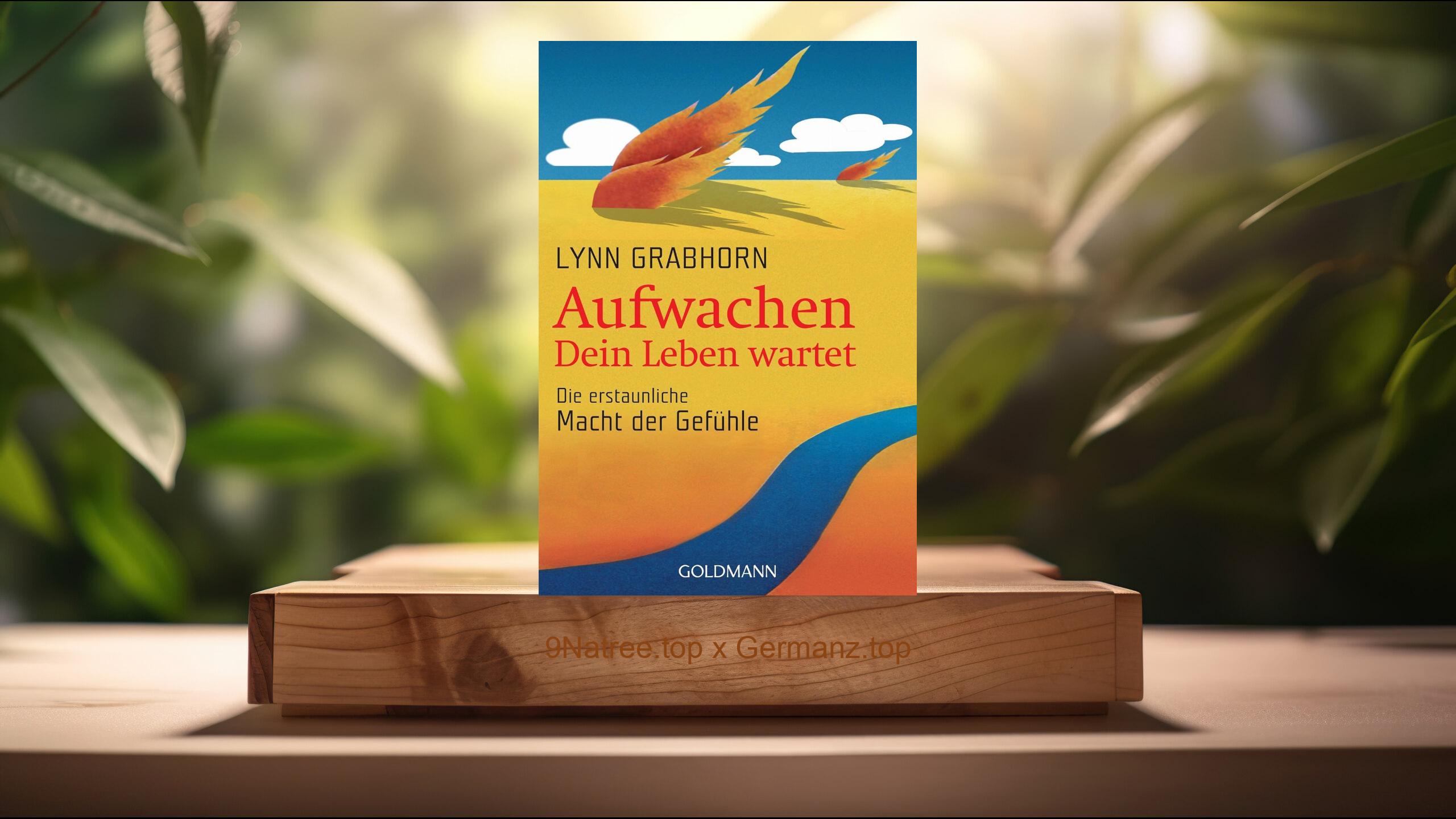 [Rezensiert] Aufwachen - Dein Leben wartet: Die erstaunliche Macht der Gefühle (Lynn Grabhorn) Zusammengefasst.