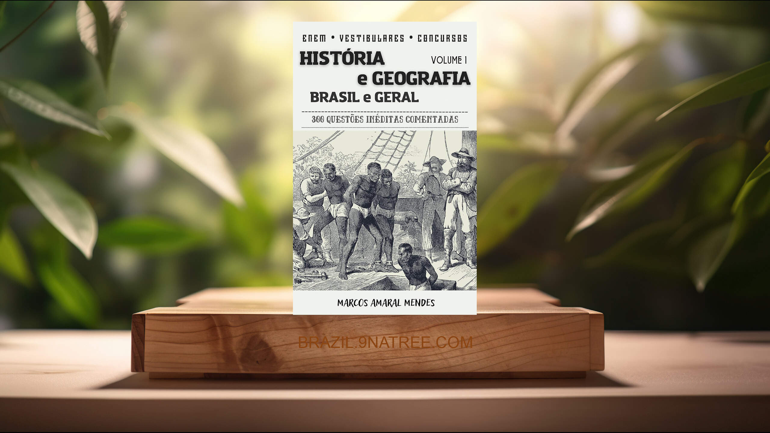 [Análises] História e Geografia (Marcos Amaral Mendes) Resumidos.
