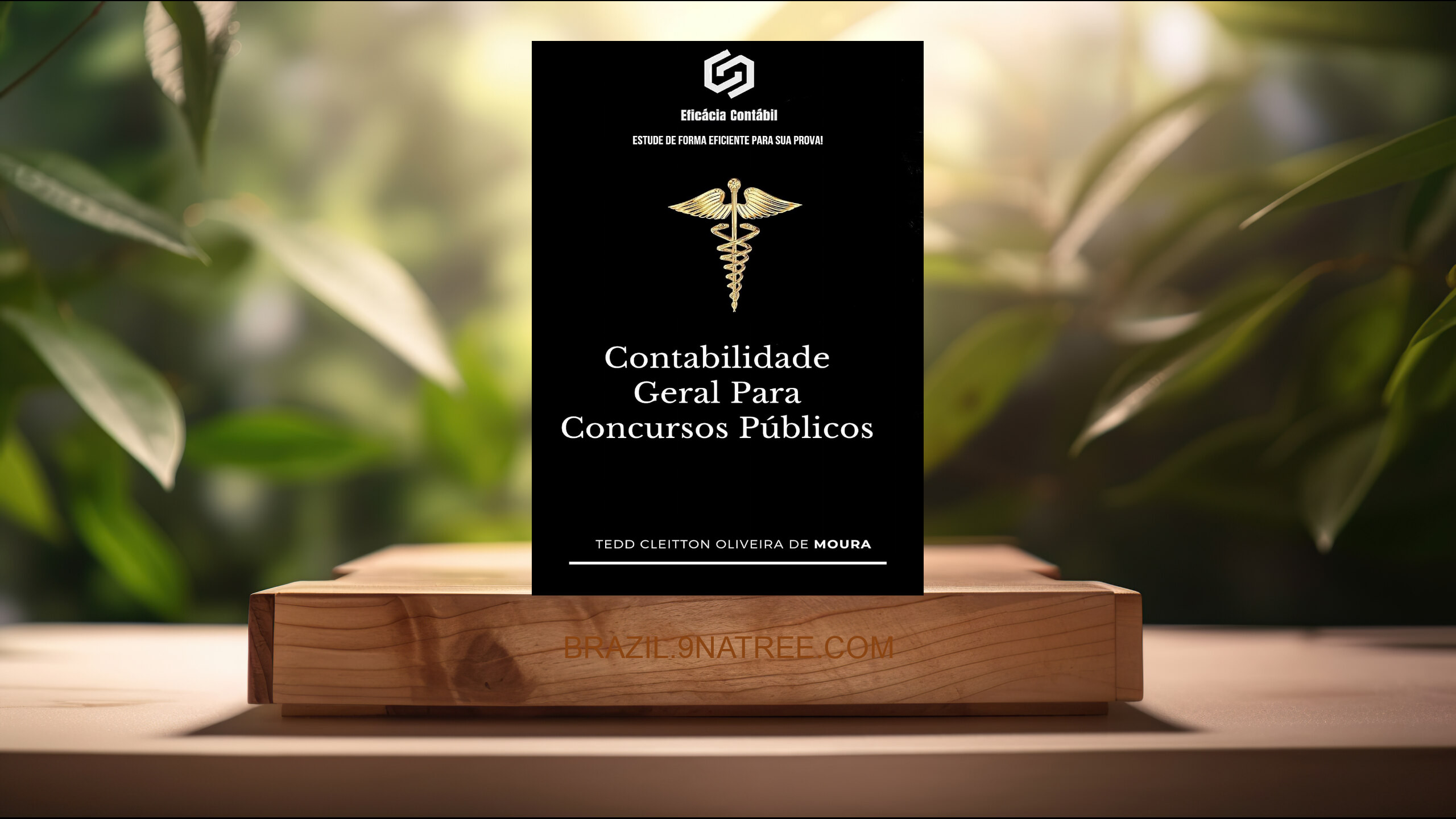 [Análises] CONTABILIDADE GERAL PARA CONCURSOS PÚBLICOS (Tedd Cleitton Oliveira de Moura) Resumidos.