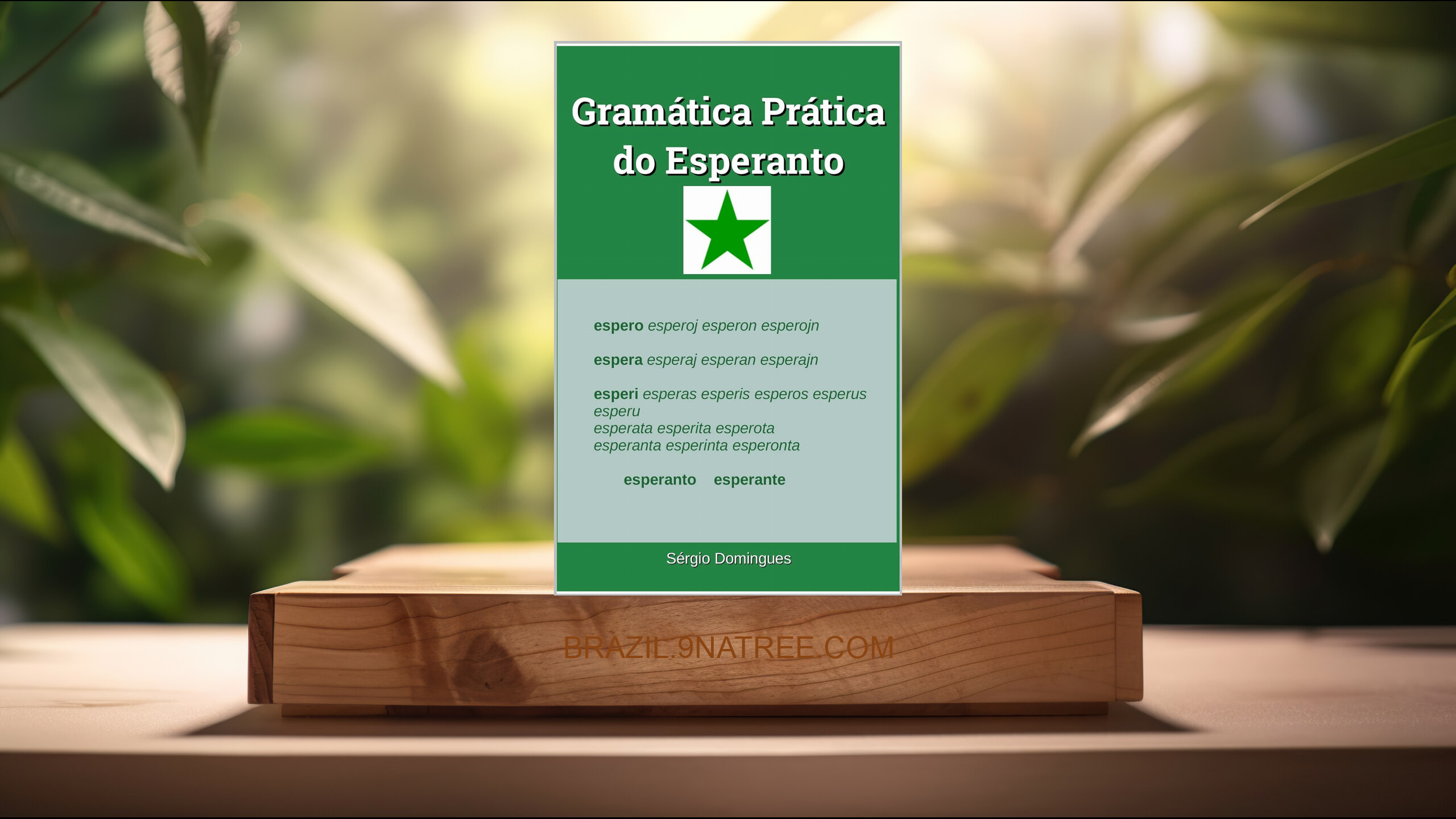 [Análises] Gramática Prática do Esperanto (Sérgio Domingues) Resumidos.
