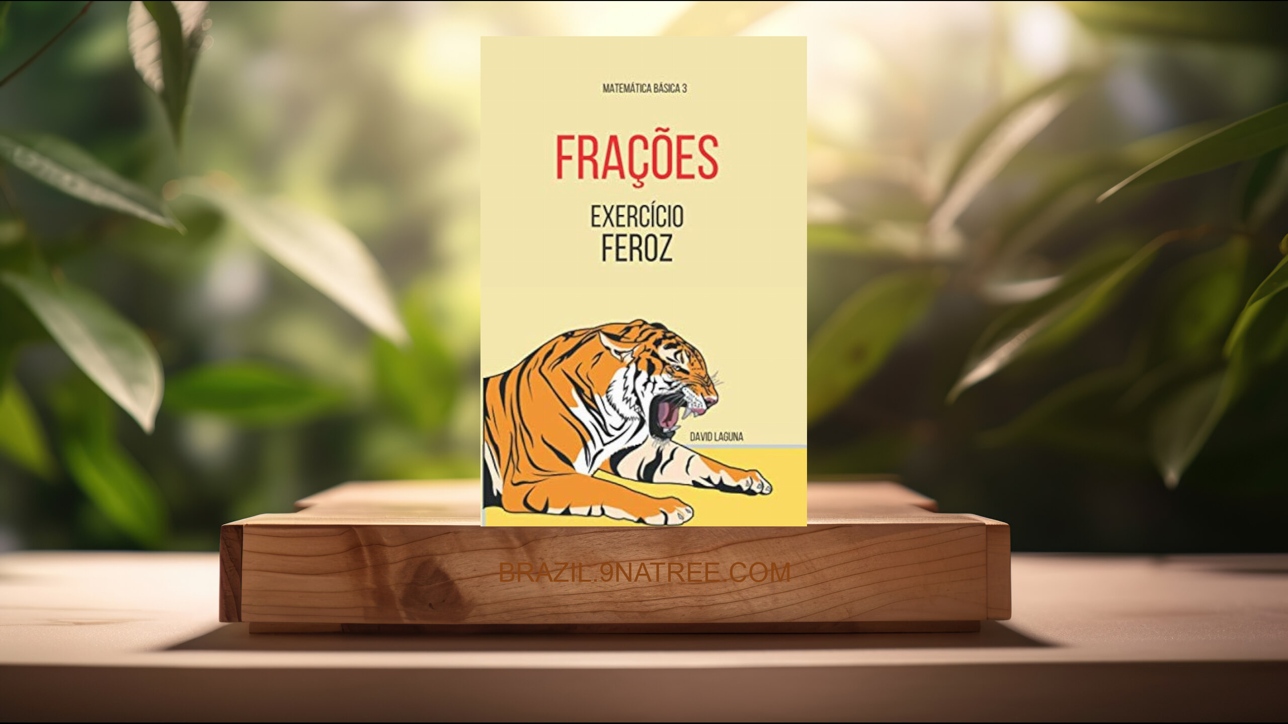 [Análises] FRAÇÕES: EXERCÍCIO FEROZ   (David Laguna) Resumidos.