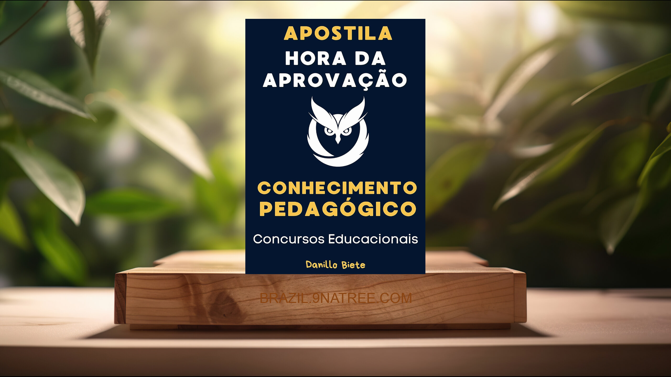 [Análises] Apostila Conhecimento Pedagógico : Concursos Educacionais (Danillo Biete) Resumidos.