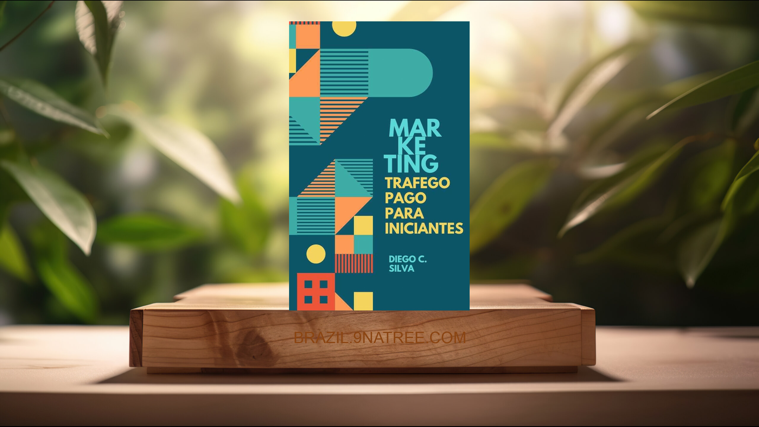 [Análises] Trafego pago para Iniciantes: Marketing digital  (Diego da Silva) Resumidos.