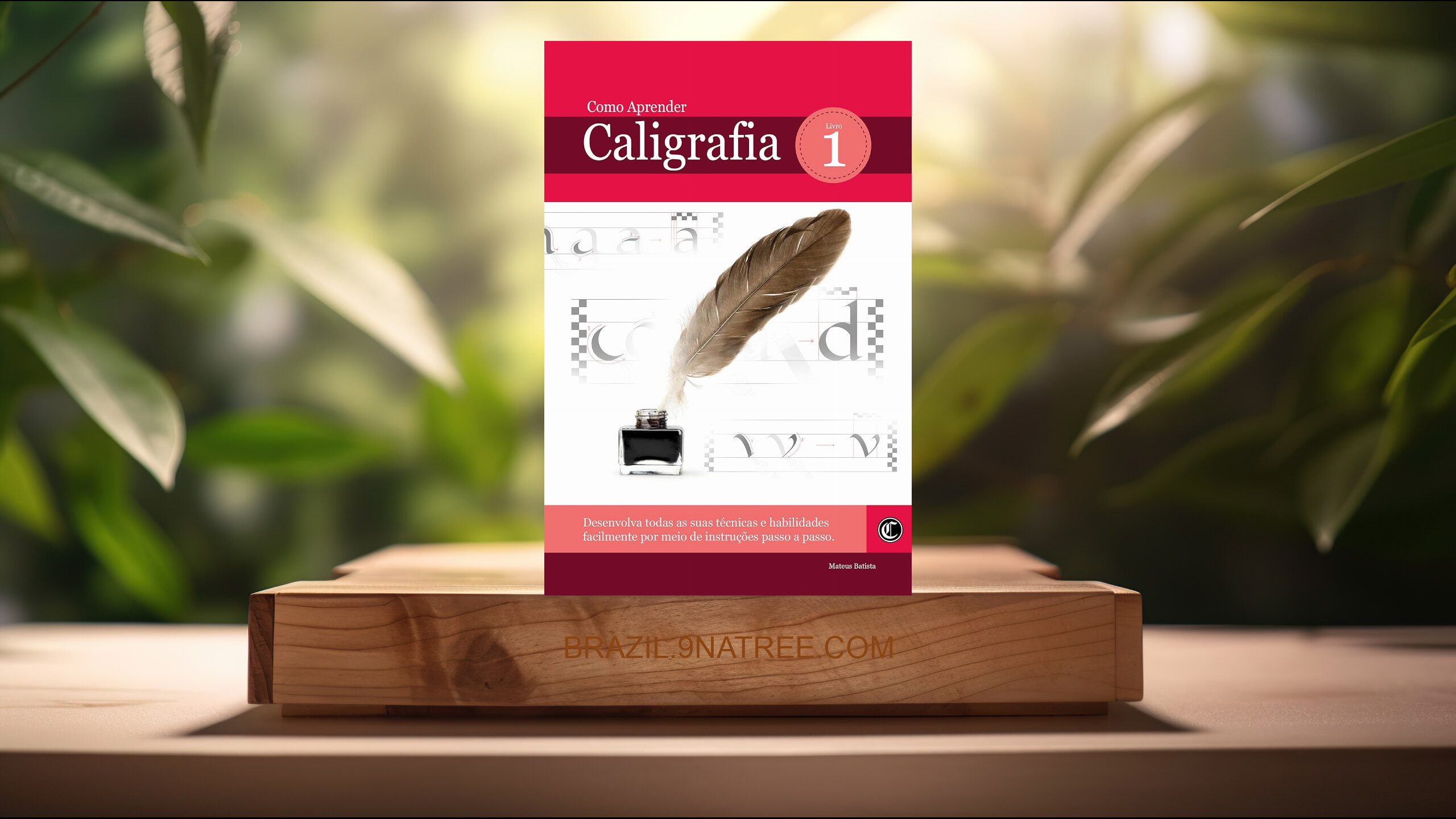 [Análises] Como Aprender Caligrafia (Mateus Batista) Resumidos.