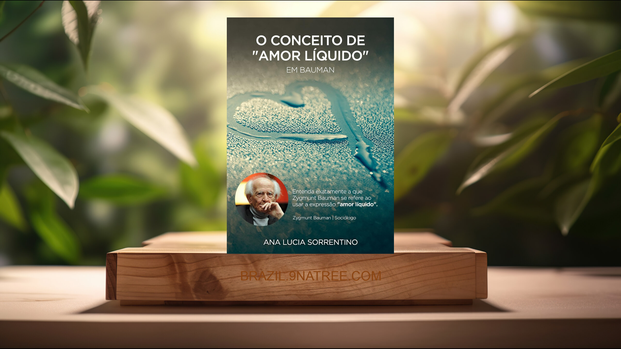 [Análises] O conceito de "Amor Líquido" em Bauman (Ana Lucia Sorrentino) Resumidos.