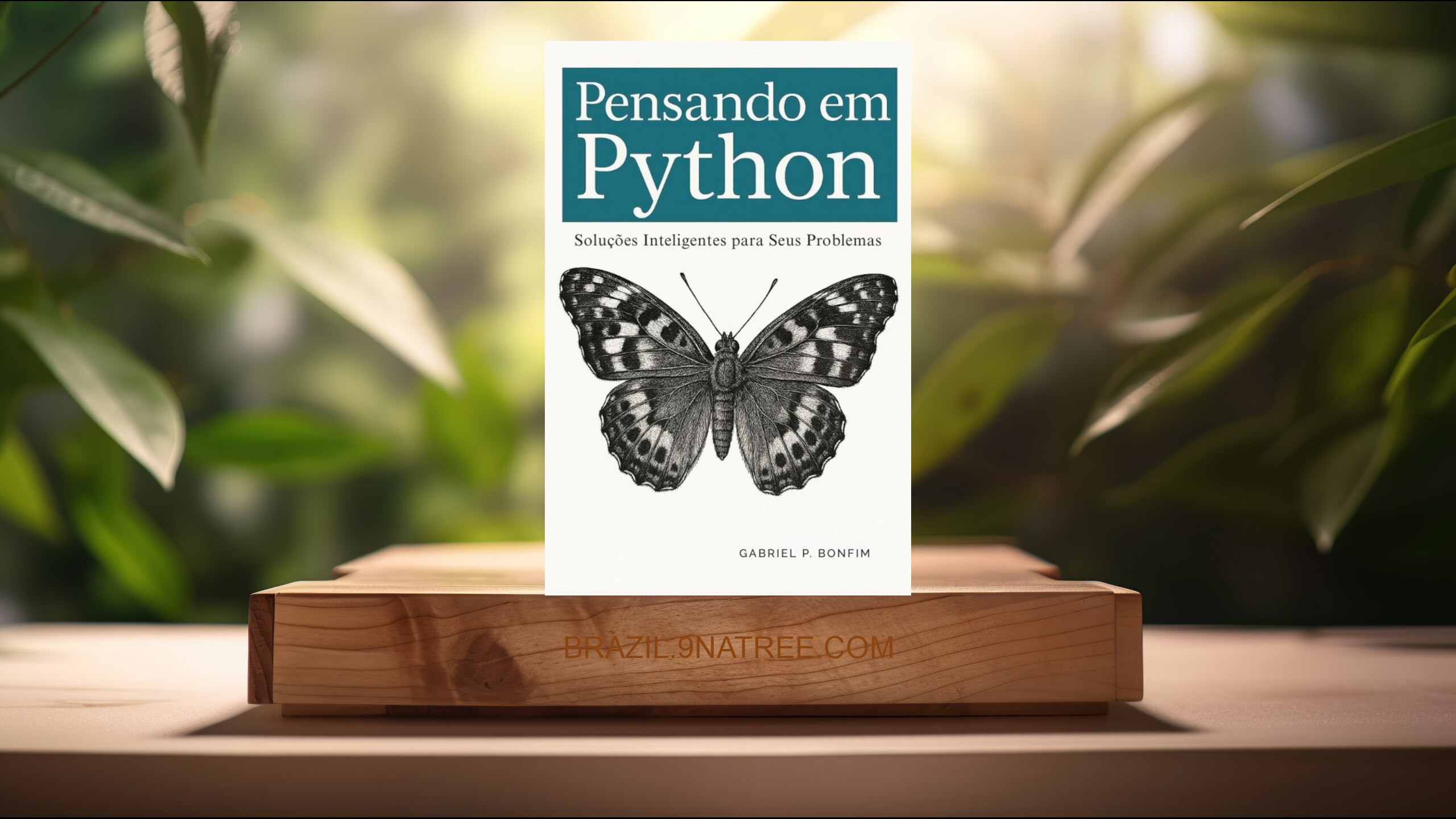 [Análises] Pensando em Python: Soluções Inteligentes para Seus Problemas (Gabriel Bonfim) Resumidos.