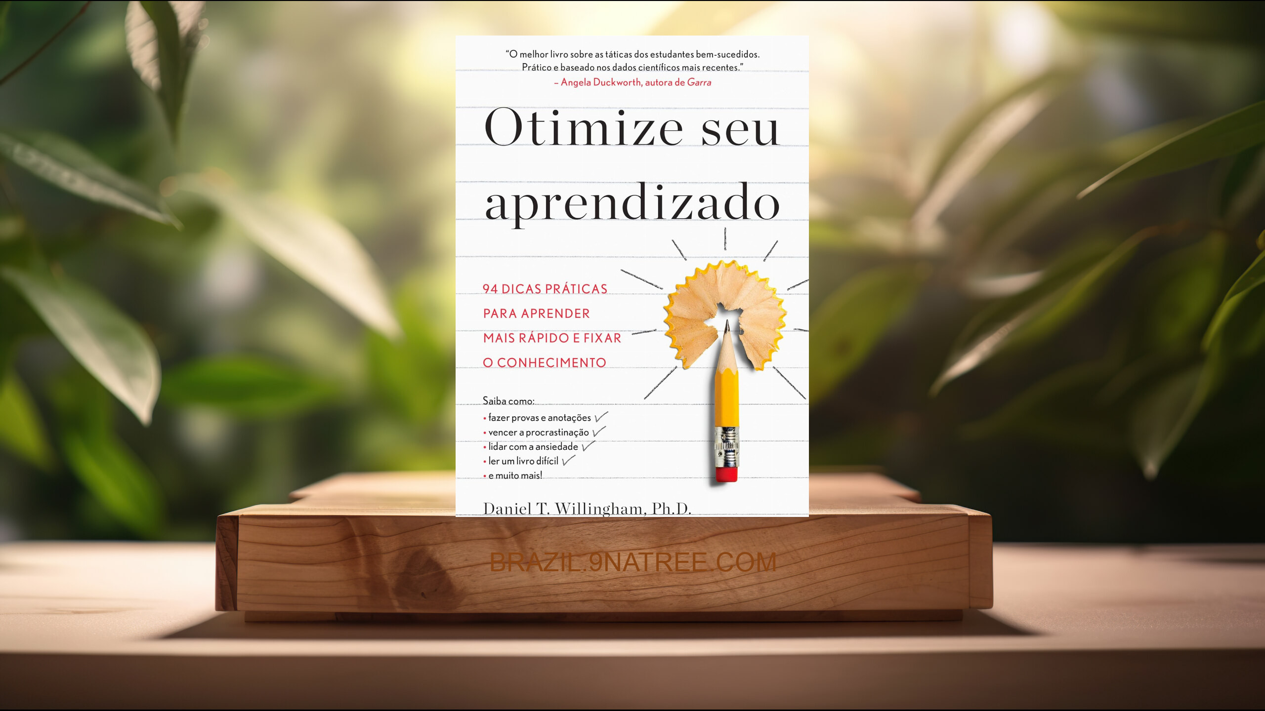 [Análises] Otimize seu aprendizado (Daniel T. Willingham) Resumidos.