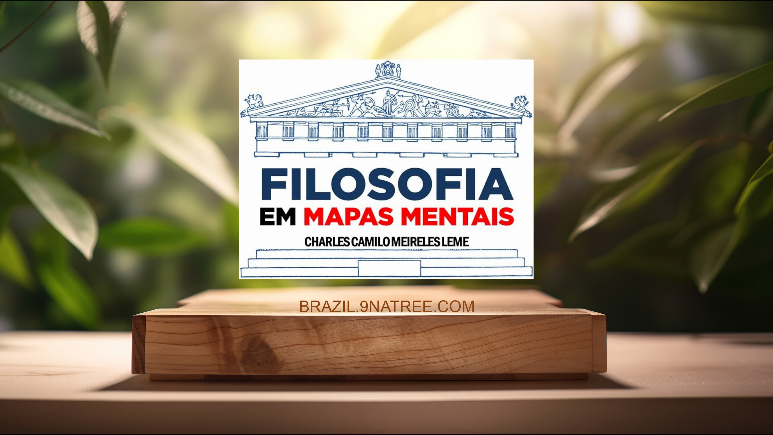 [Análises] FILOSOFIA EM MAPAS MENTAIS (CHARLES CAMILO MEIRELES LEME) Resumidos.