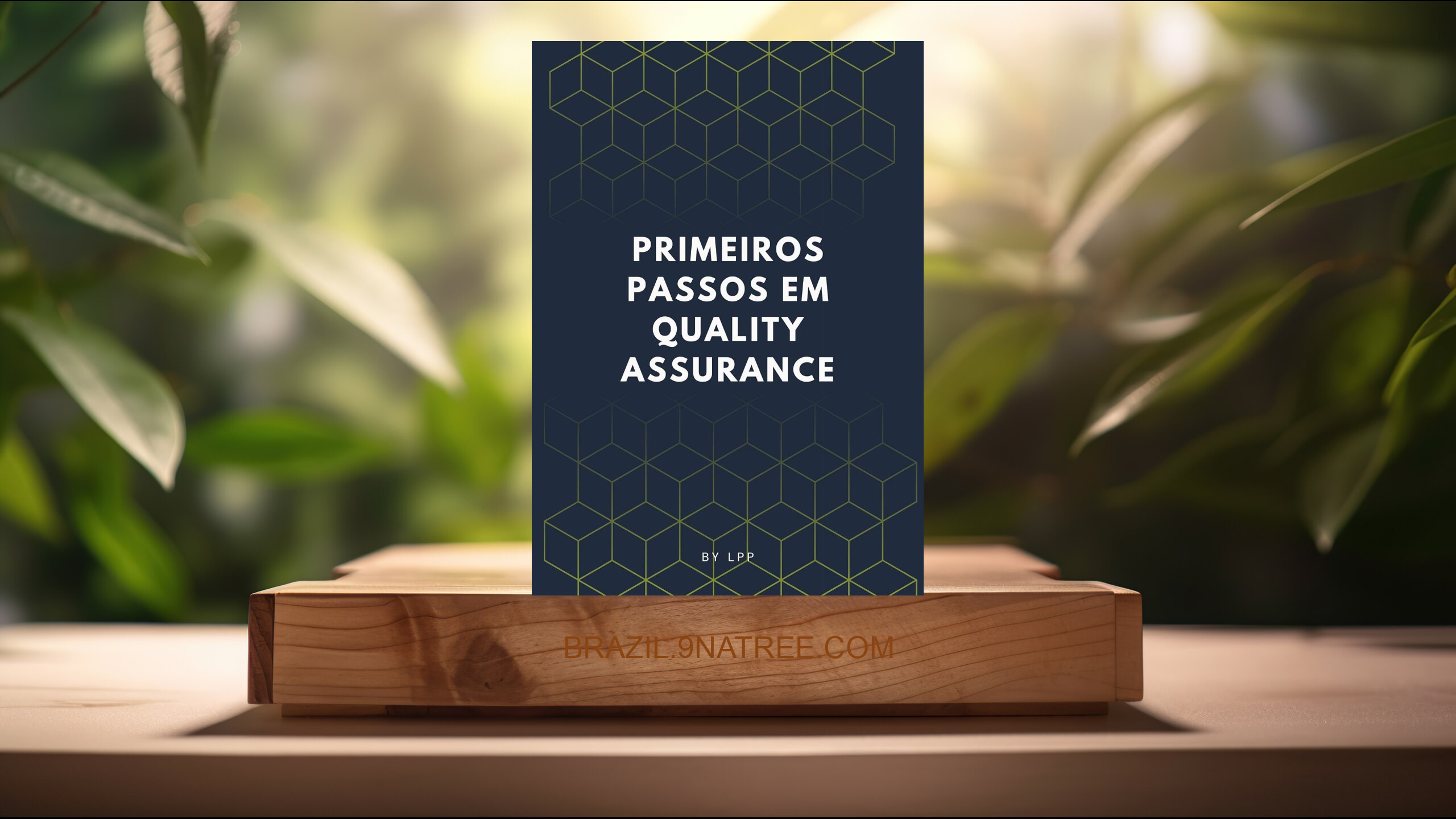 [Análises] Primeiros Passos em Quality Assurance (LPP) Resumidos.