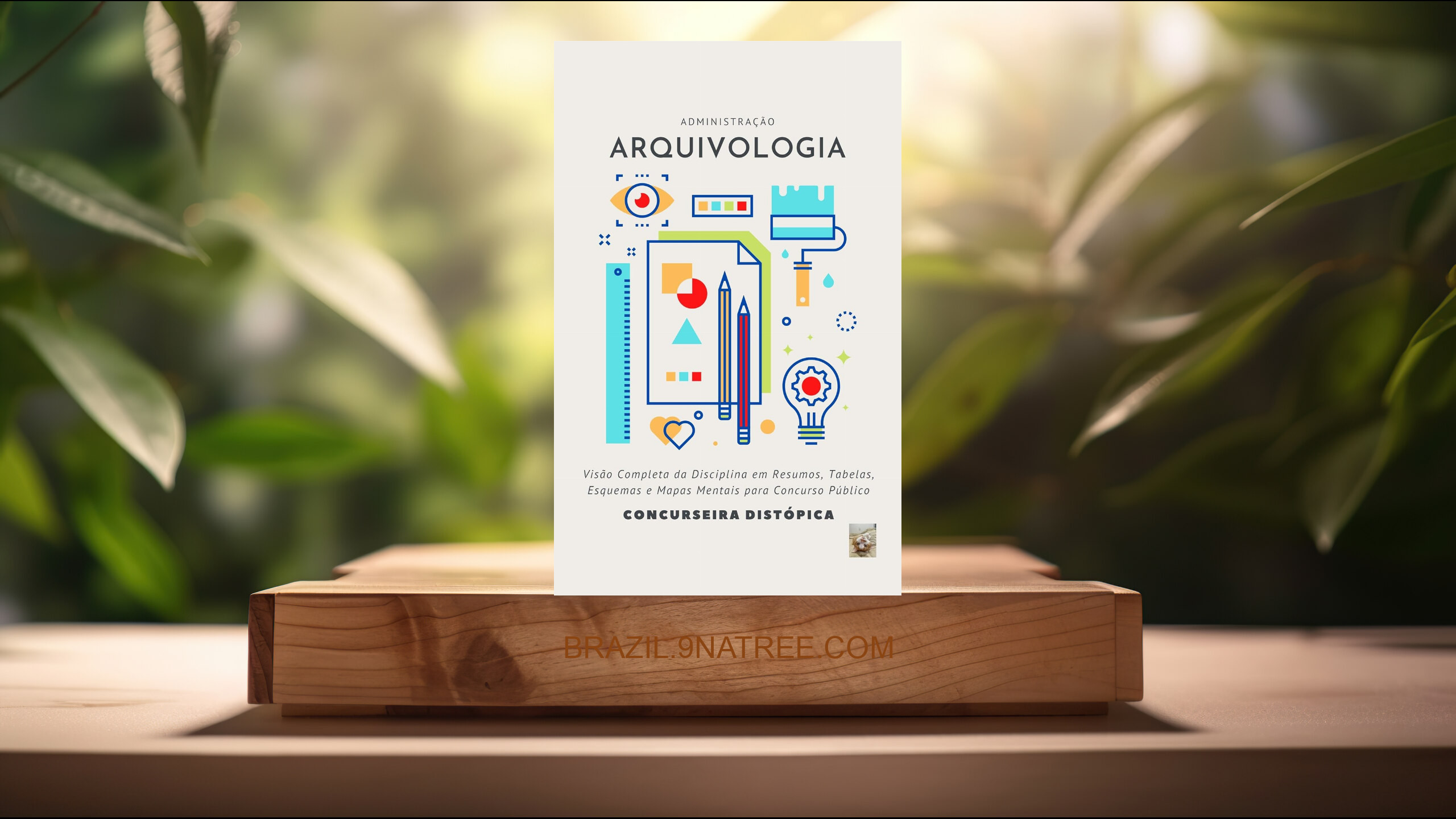 [Análises] Arquivologia (Michelle Arruda) Resumidos.