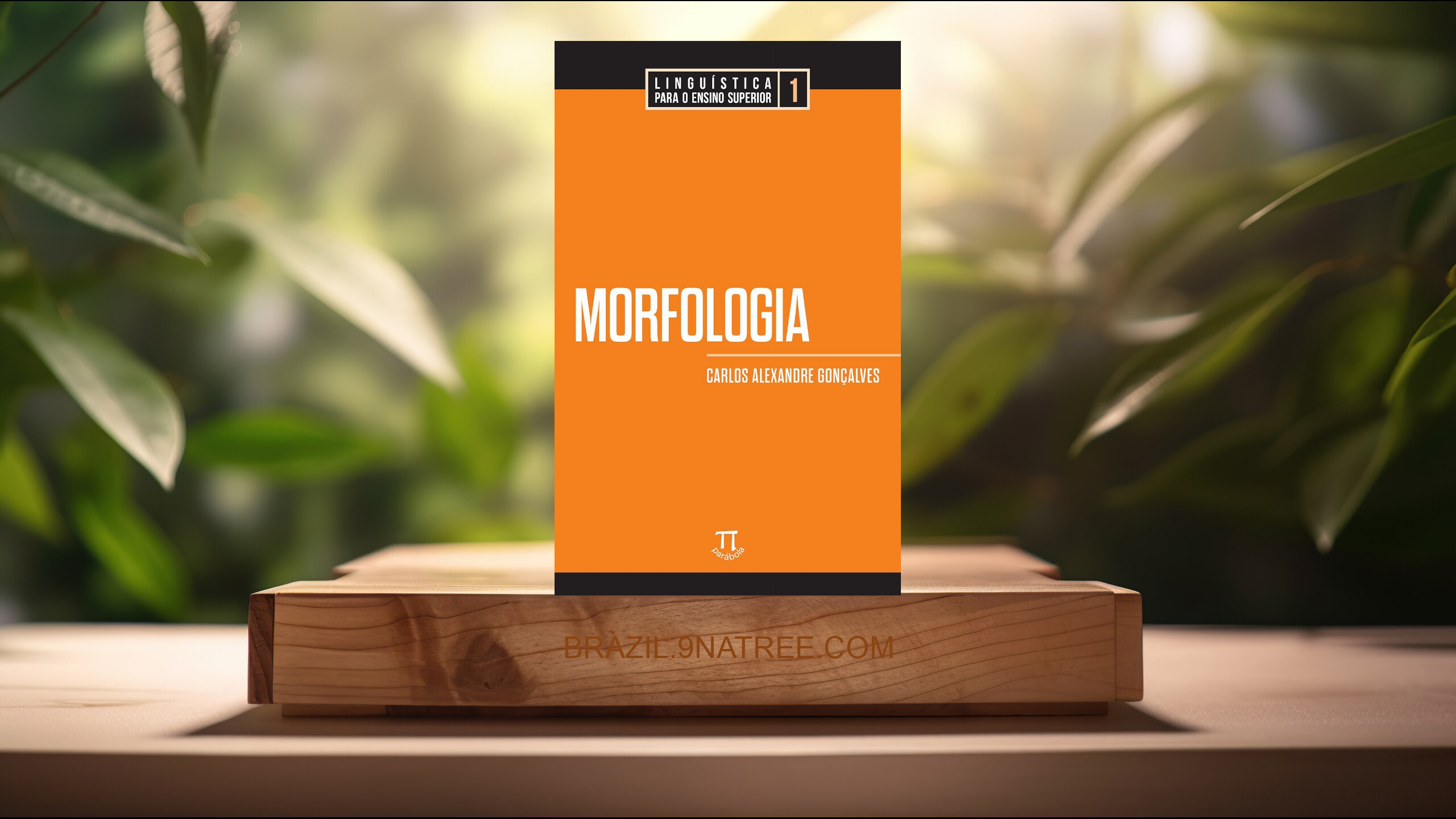 [Análises] Morfologia  (Carlos Alexandre Gonçalves) Resumidos.