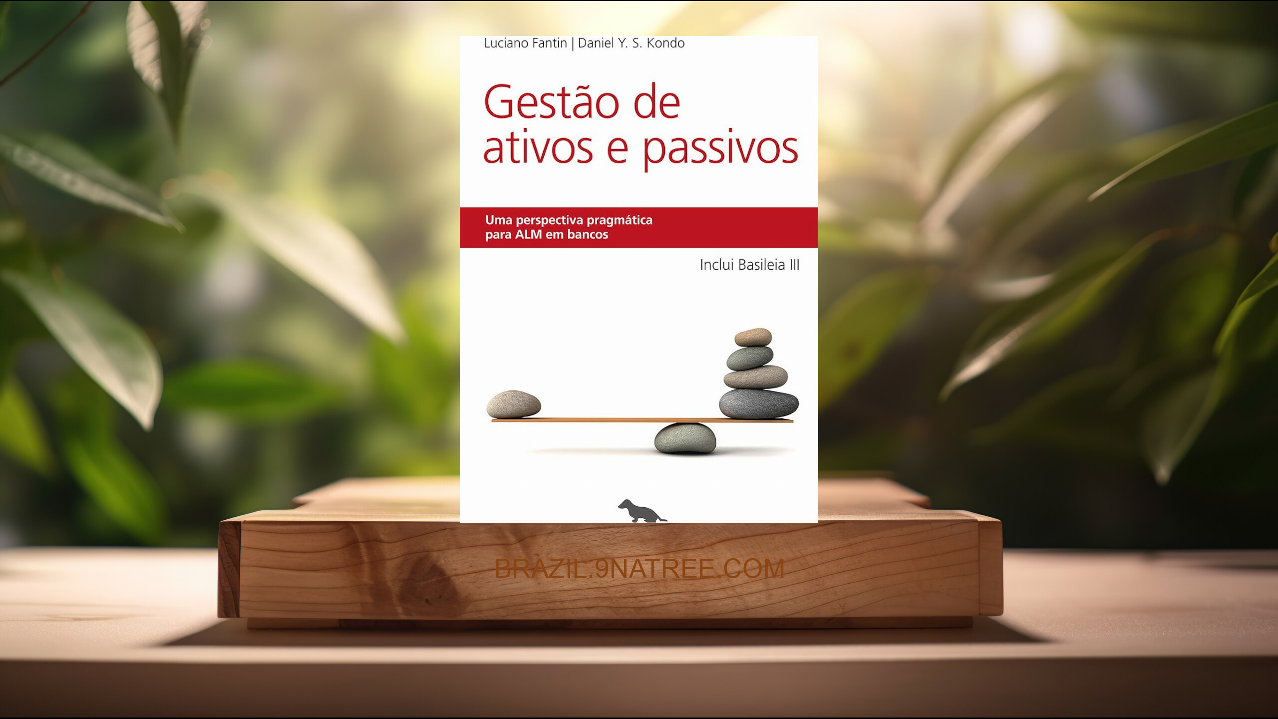 [Análises] Gestão de ativos e passivos (Luciano Fantin) Resumidos.