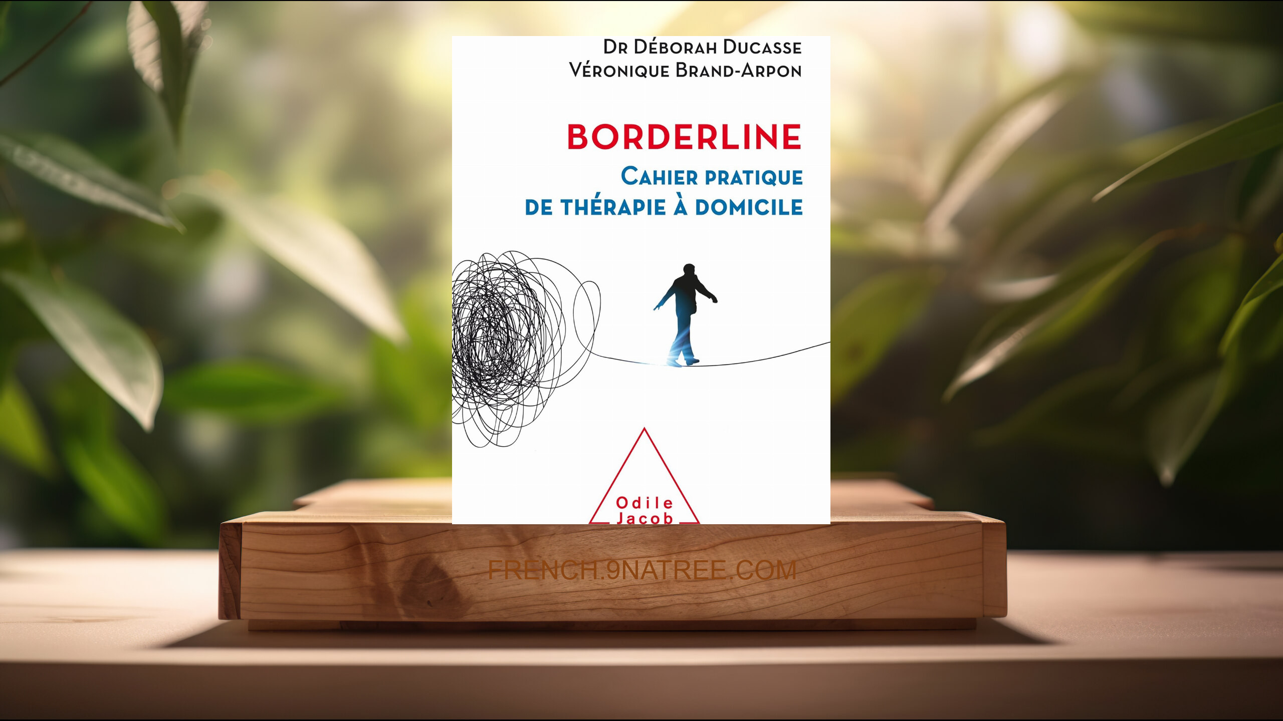 [Critique] Borderline: Cahier pratique de thérapie à domicile (Docteur Deborah Ducasse) Résumé.