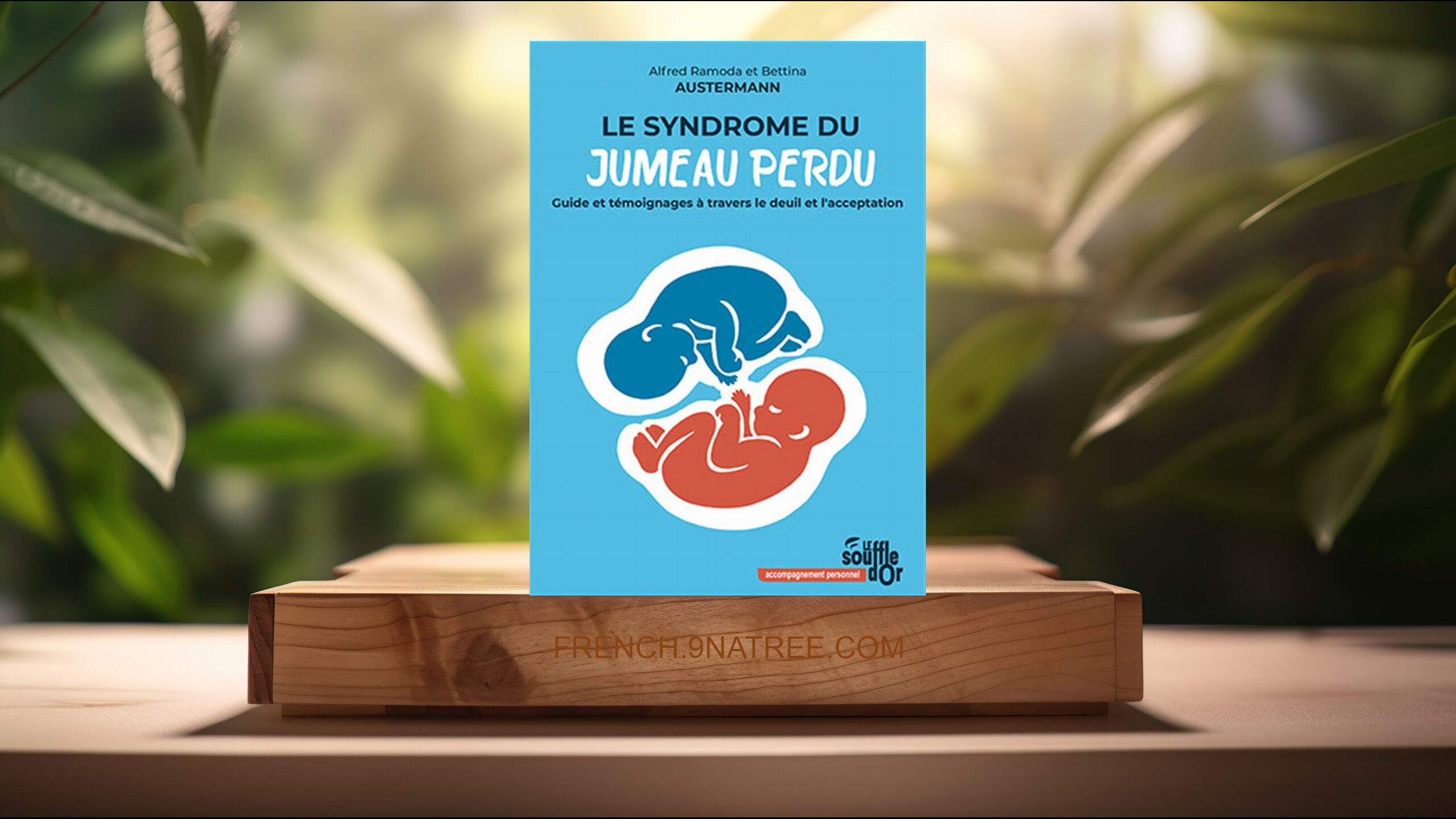 [Critique] Le syndrome du jumeau perdu (Alfred Ramoda Austermann) Résumé.