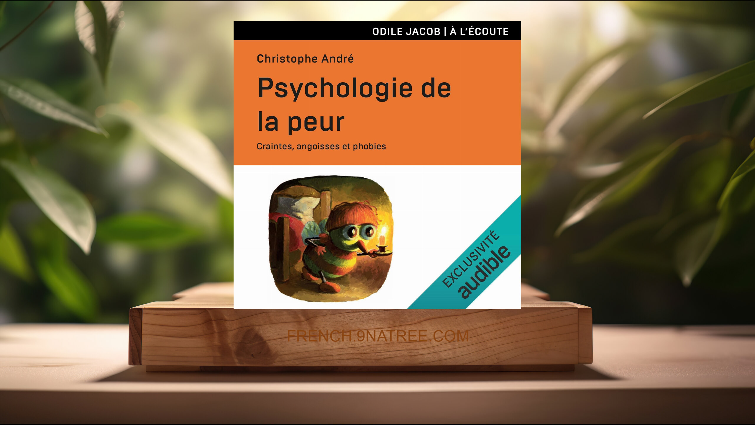 [Critique] Psychologie de la peur: Craintes, angoisses et phobies (Christophe André) Résumé.
