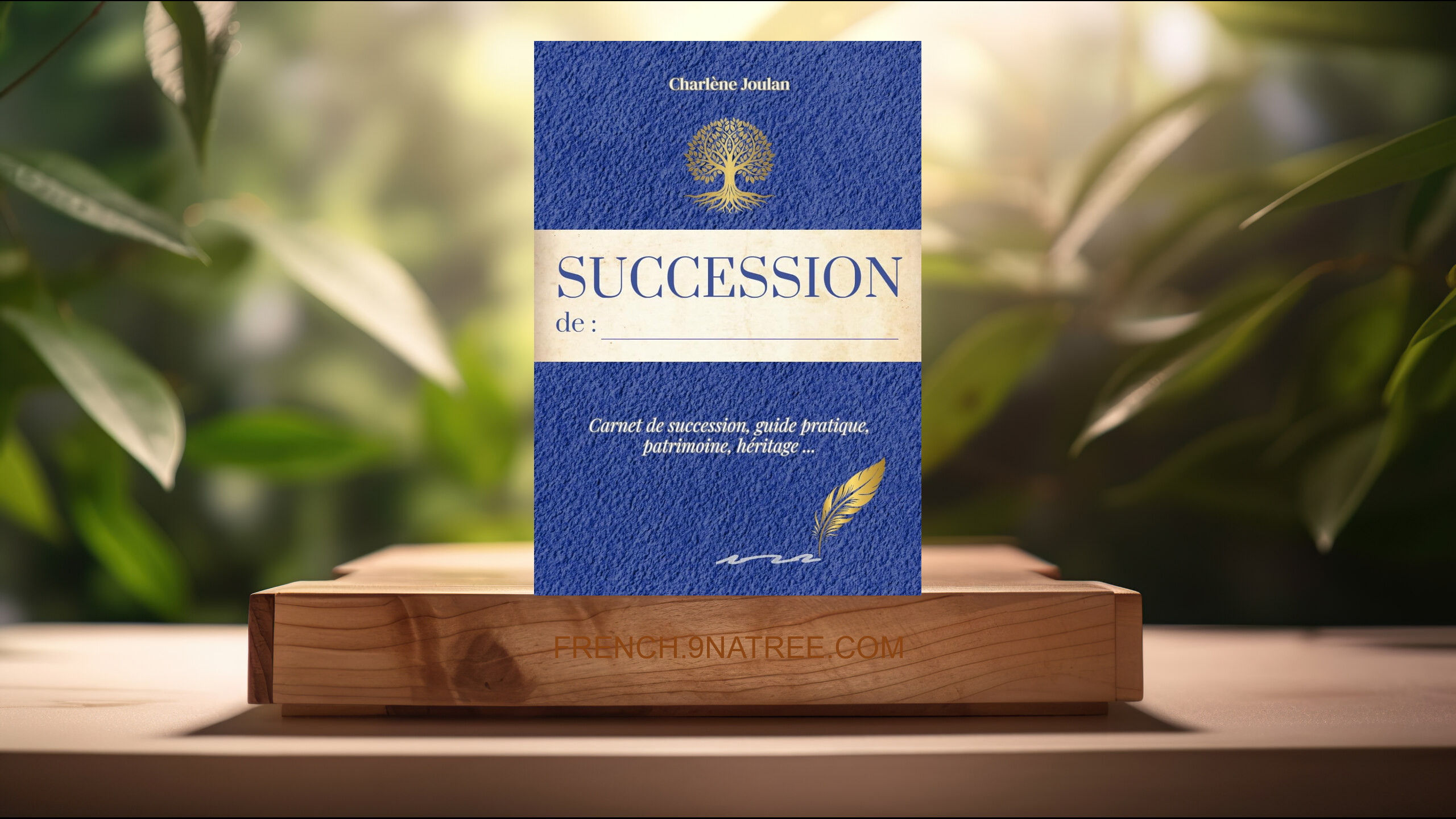 [Critique] Carnet de Succession à Remplir (Charlène Joulan) Résumé.