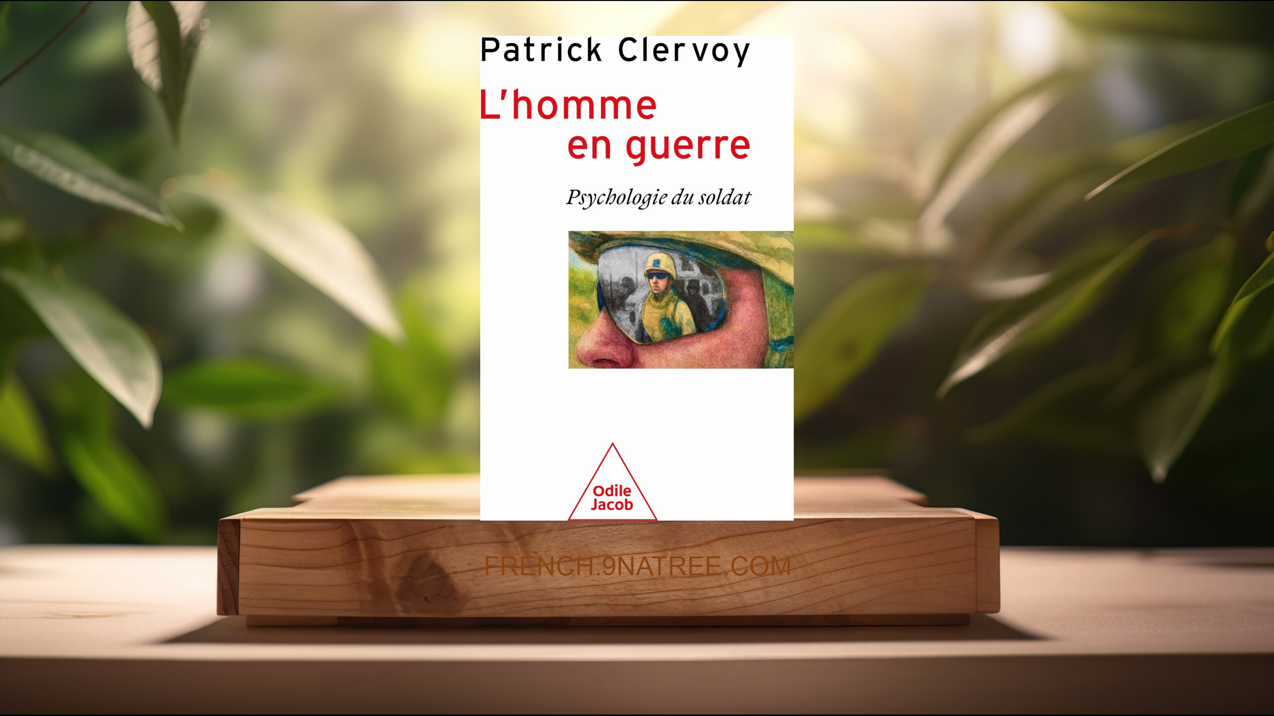 [Critique] L'Homme en guerre: Psychologie du soldat (Patrick Patrick Clervoy) Résumé.
