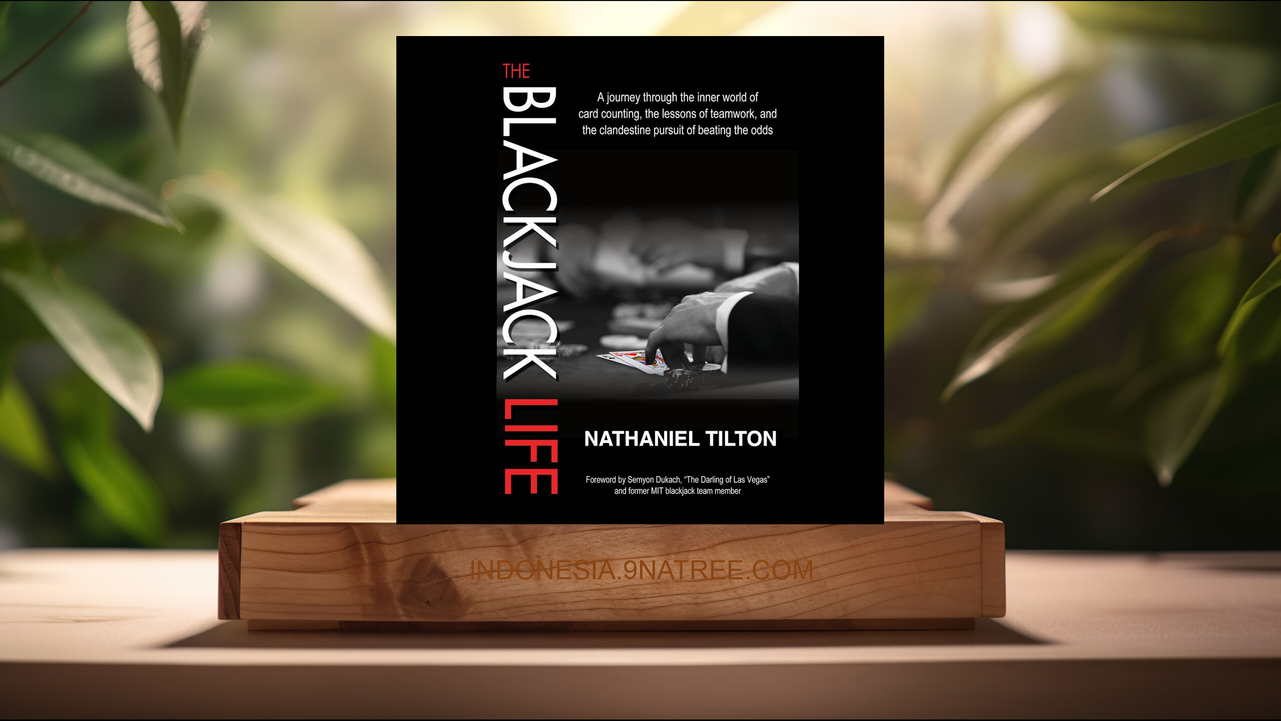 [Ulasan] The Blackjack Life (Nathaniel Tilton) Ringkasan.