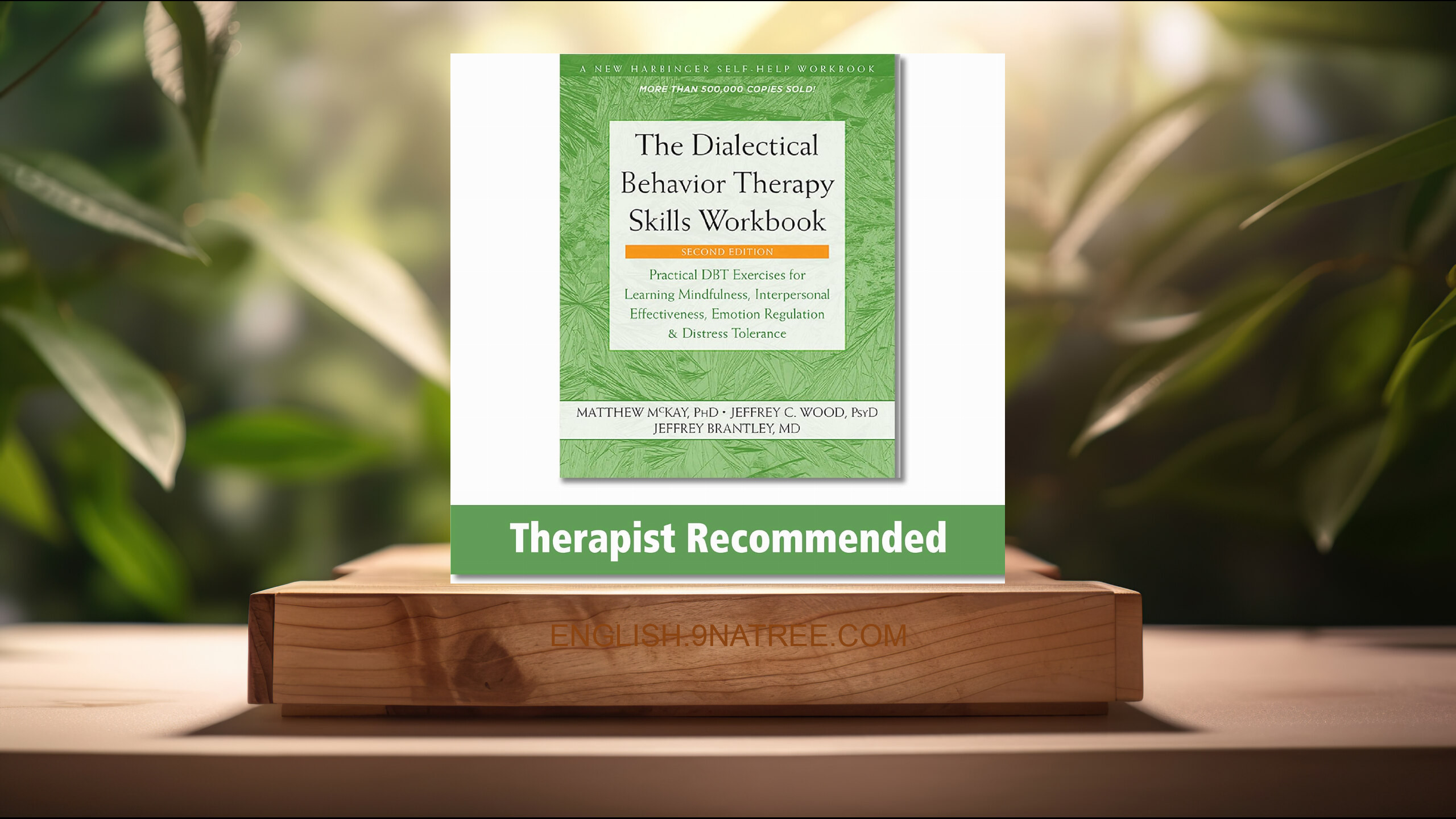 [Review] The Dialectical Behavior Therapy Skills Workbook (Matthew McKay PhD) Summarized.
