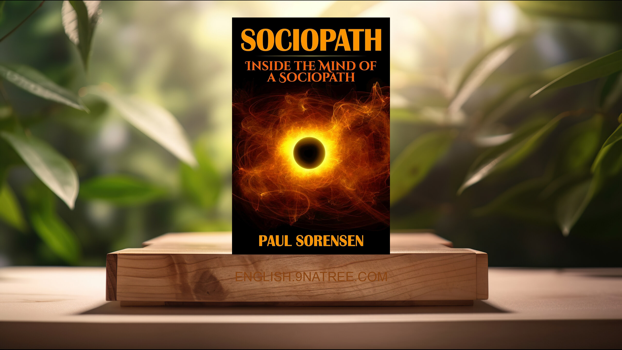 [Review] Sociopath: Inside the Mind of a Sociopath  (Paul Sorensen) Summarized.