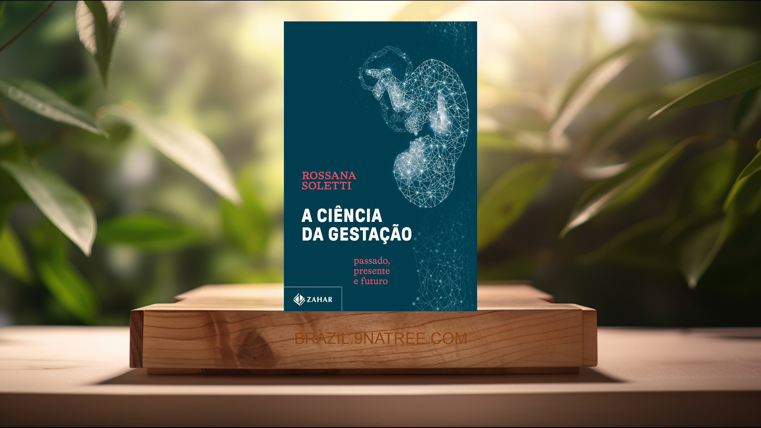 [Análises] A ciência da gestação: Passado, presente e futuro (Rossana Soletti) Resumidos.