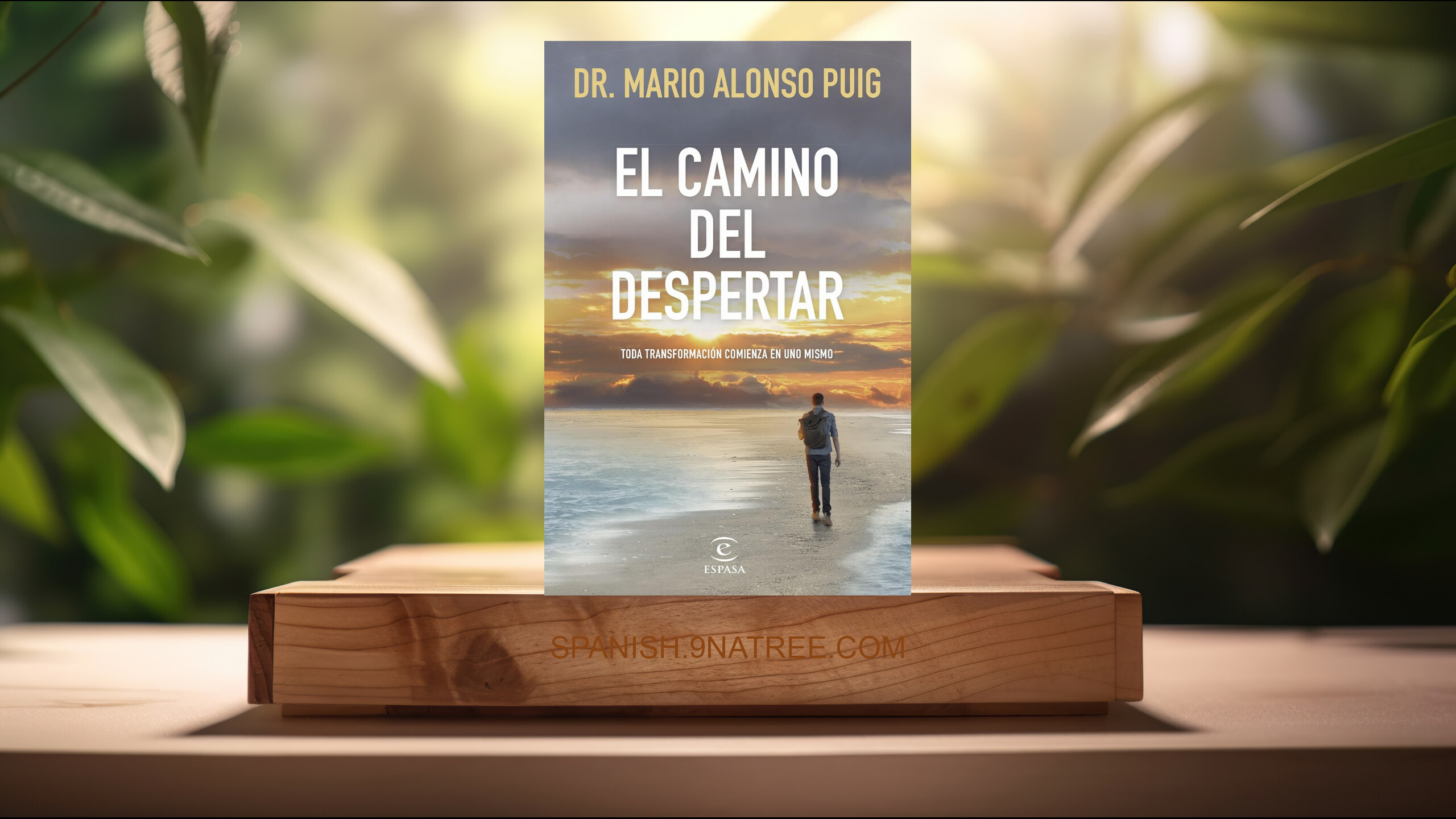 [Reseña] El camino del despertar: Toda transformación comienza en uno mismo  (Mario Alonso Puig) Resumida.