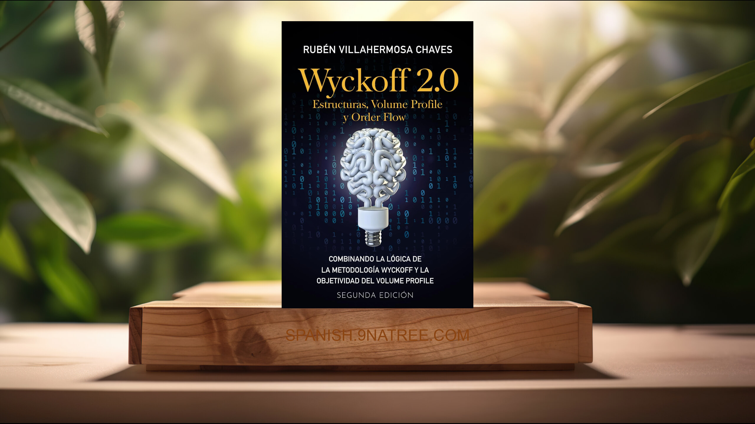 [Reseña] Wyckoff 2.0: Estructuras, Volume Profile y Order Flow  (Rubén Villahermosa) Resumida.