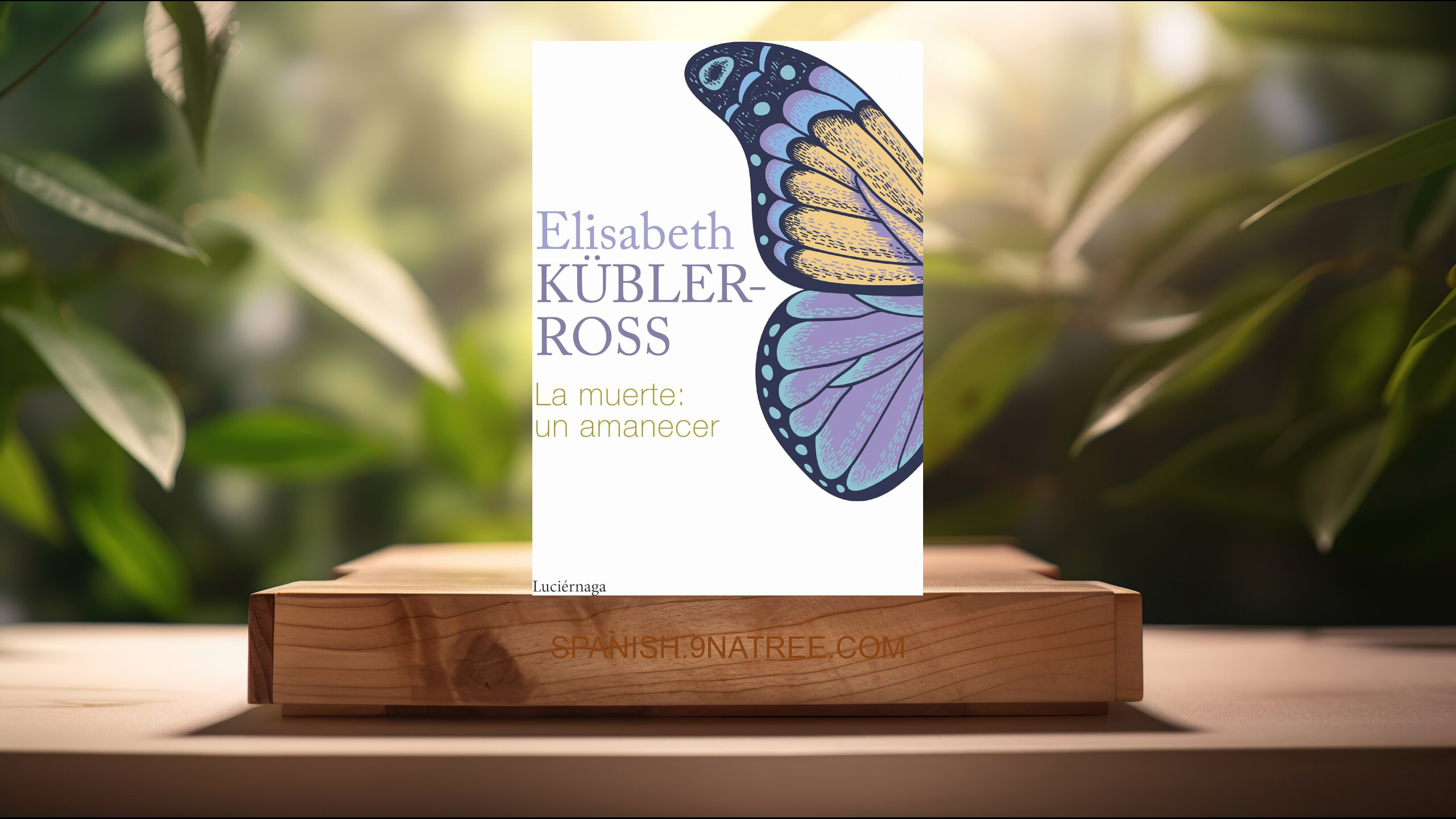 [Reseña] La muerte: un amanecer  (Elisabeth Kübler-Ross) Resumida.